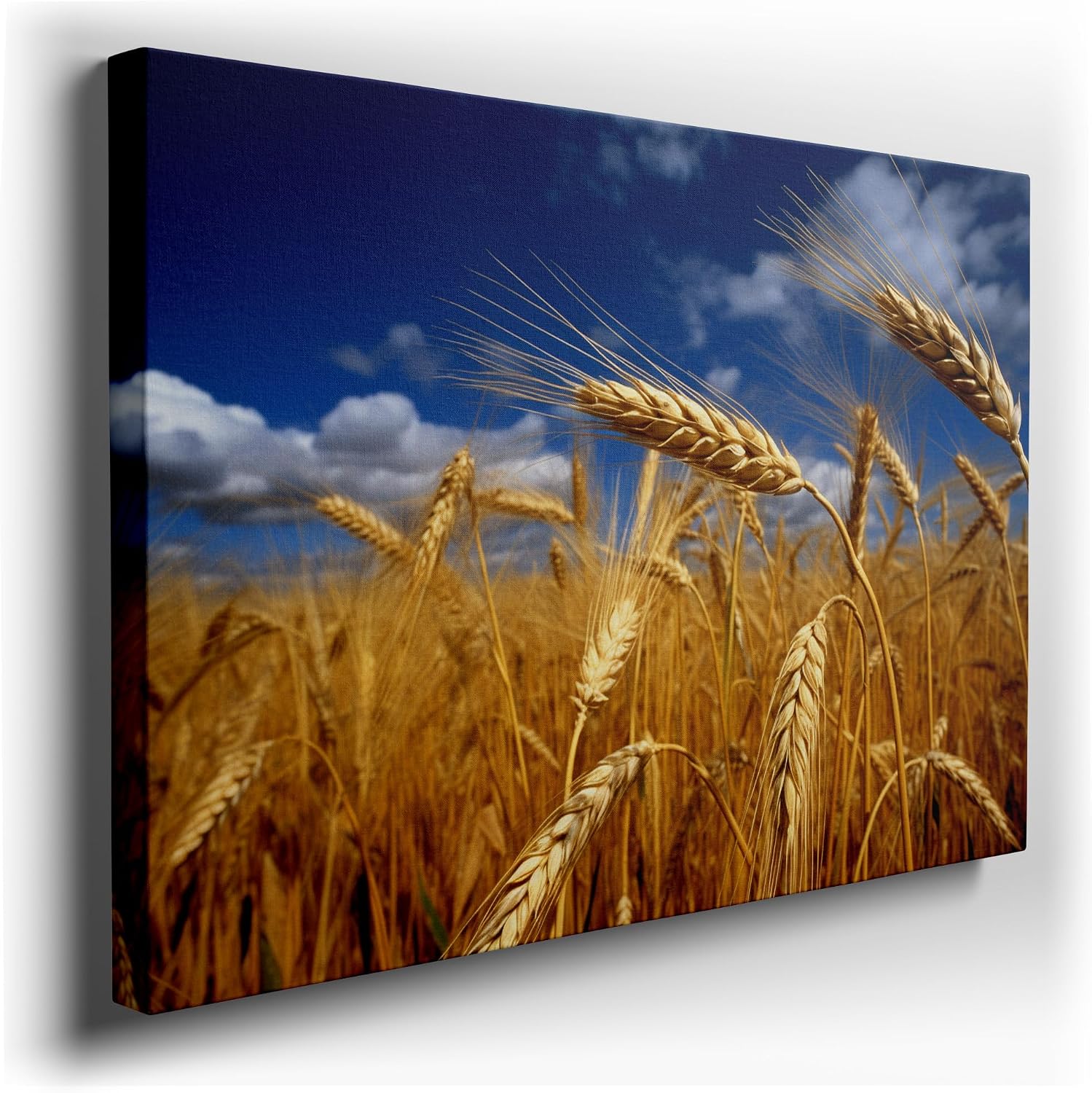 Canvas for Living room. Golden Harvest: When Amber Waves Meet Serene Skies, 27 x 18 inch Canvas Wall Art - Wellness - Modern Home Decor - 69x46 cm (27x18 inch)