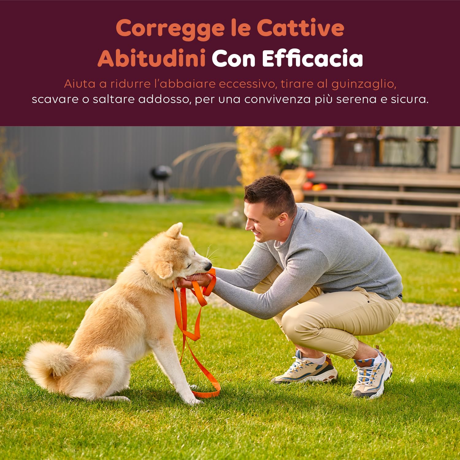 Avilia - Collare per Cani con Telecomando Impermeabile IPX7 Ricaricabile Portata 1000mt Collare Regolabile per Tutte le Taglie