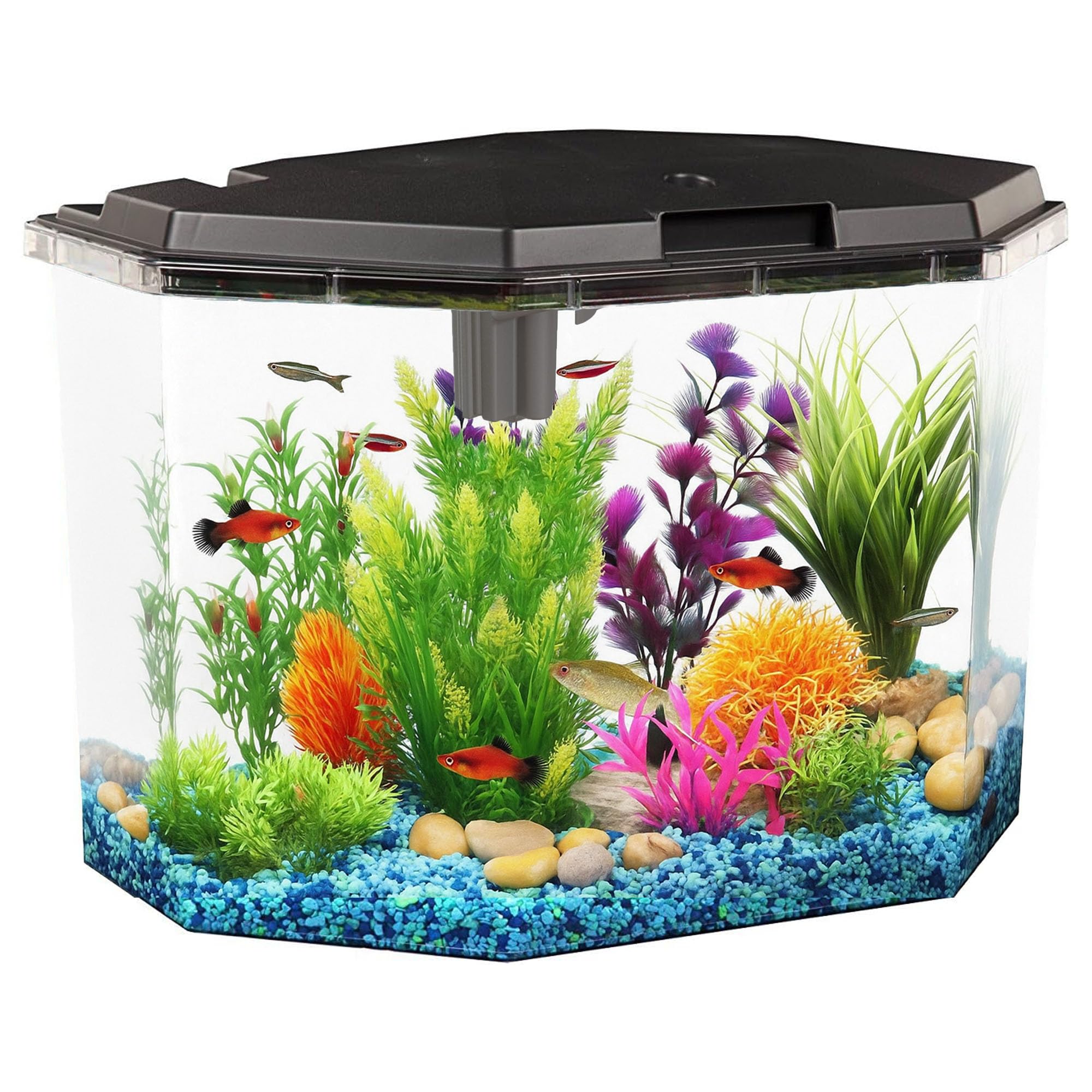 6.5-Gallon Aquarium Kit with Power Filter and LED Lighting, (AP650)