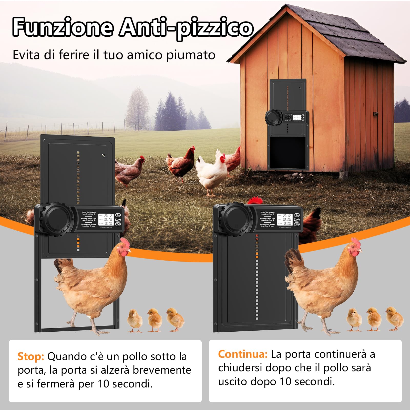 CHAMUTY Porta Automatica per Pollaio con Display, Porta Automatica Pollaio Alluminio, Timer di Ritardata Serale e Mattutina, Porta Pollaio Automatica, Nero