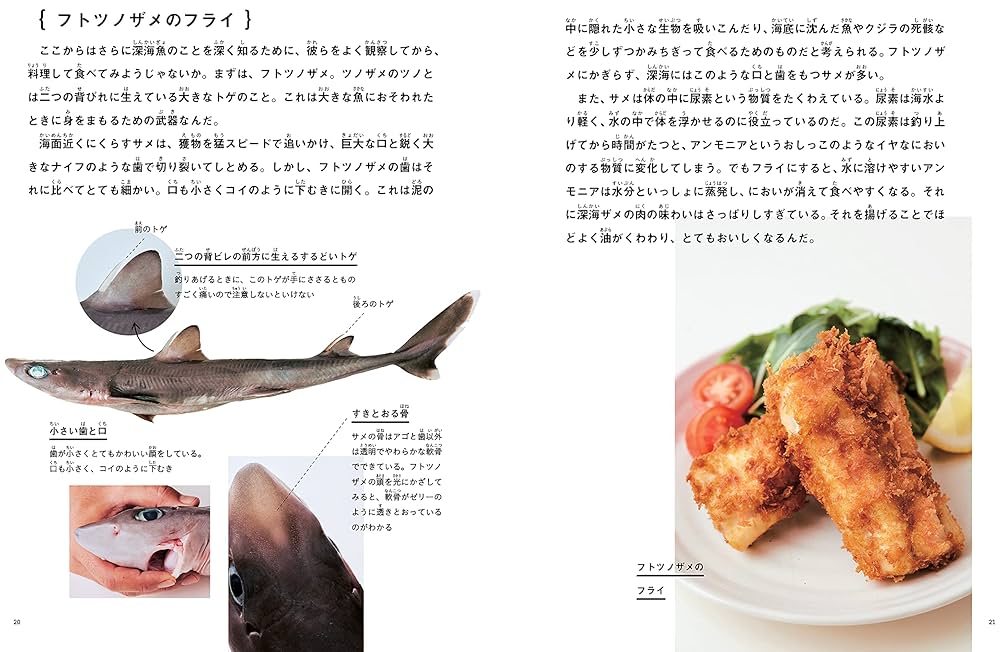 釣って 食べて 調べる 深海魚 (月刊たくさんのふしぎ2021年7月号