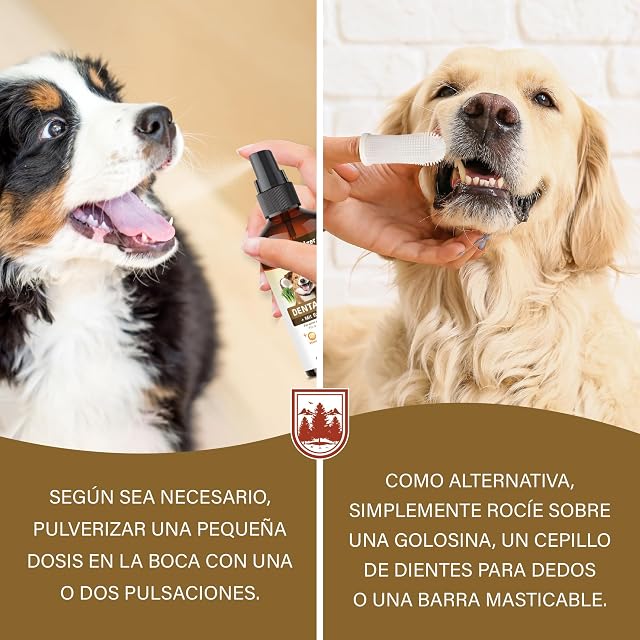 Foto 3 de 7 de Veddelholzer Set de spray dental probiótico de 150 ml para perros y gatos con cepillo de dedos y complejo…