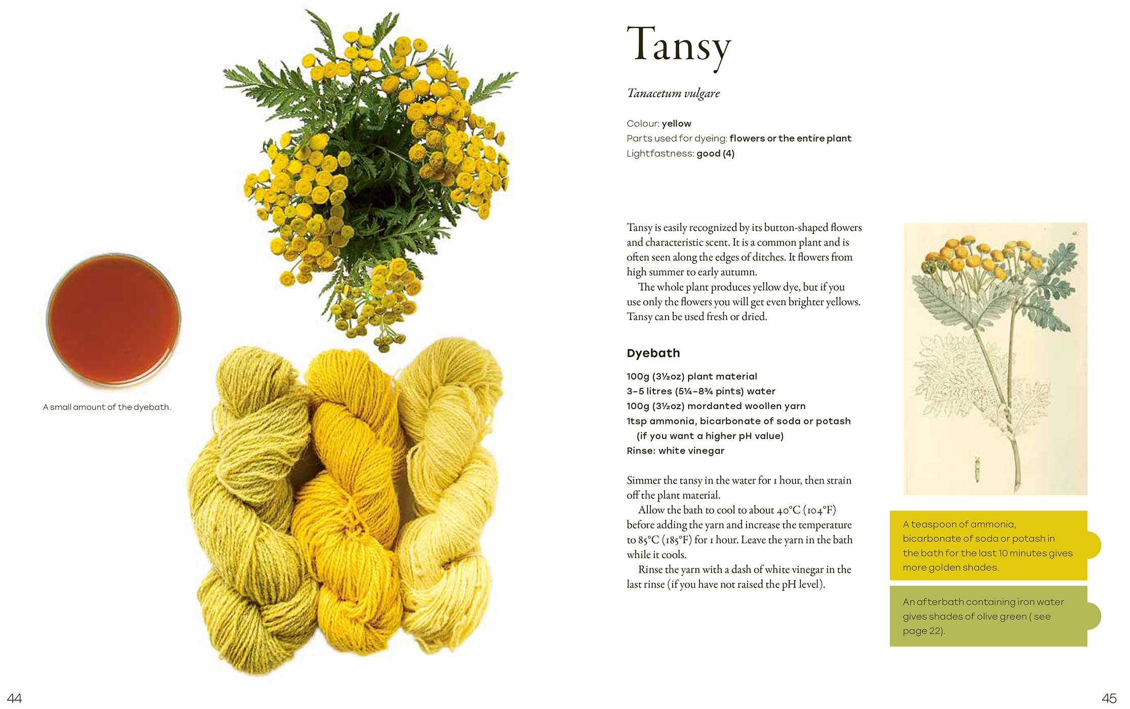 Natural Yarn Dyes: 25 Vibrant & Sustainable Recipes