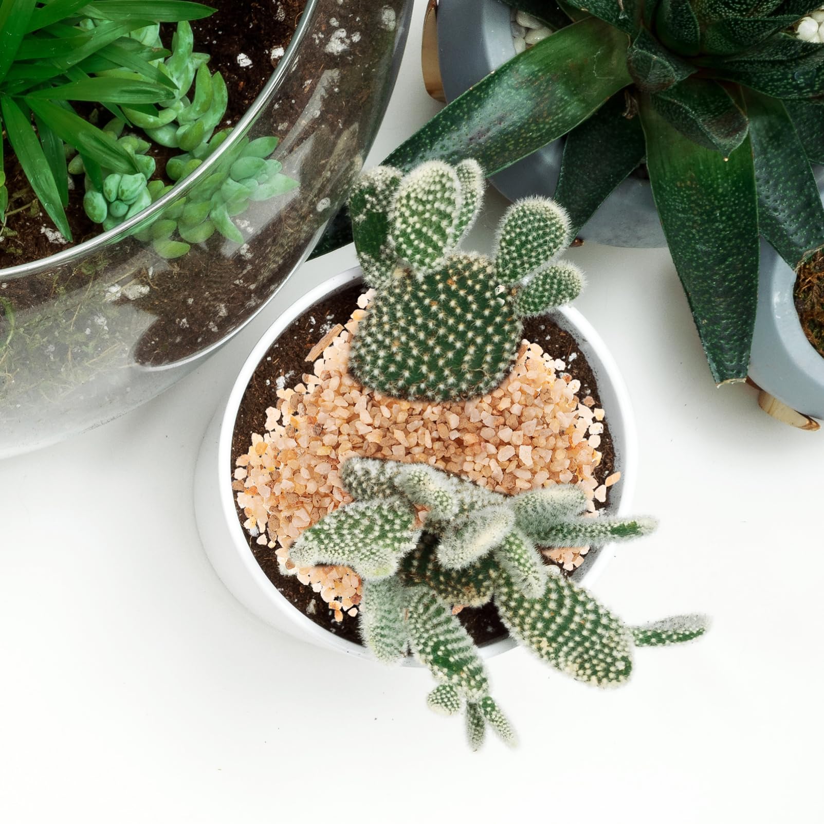 YARNOW Saco De Piedras Decorativas para Suculentas y Cactus Mezcla De Grava De para Jardinería Sustrato Natural para Plantas En Macetas
