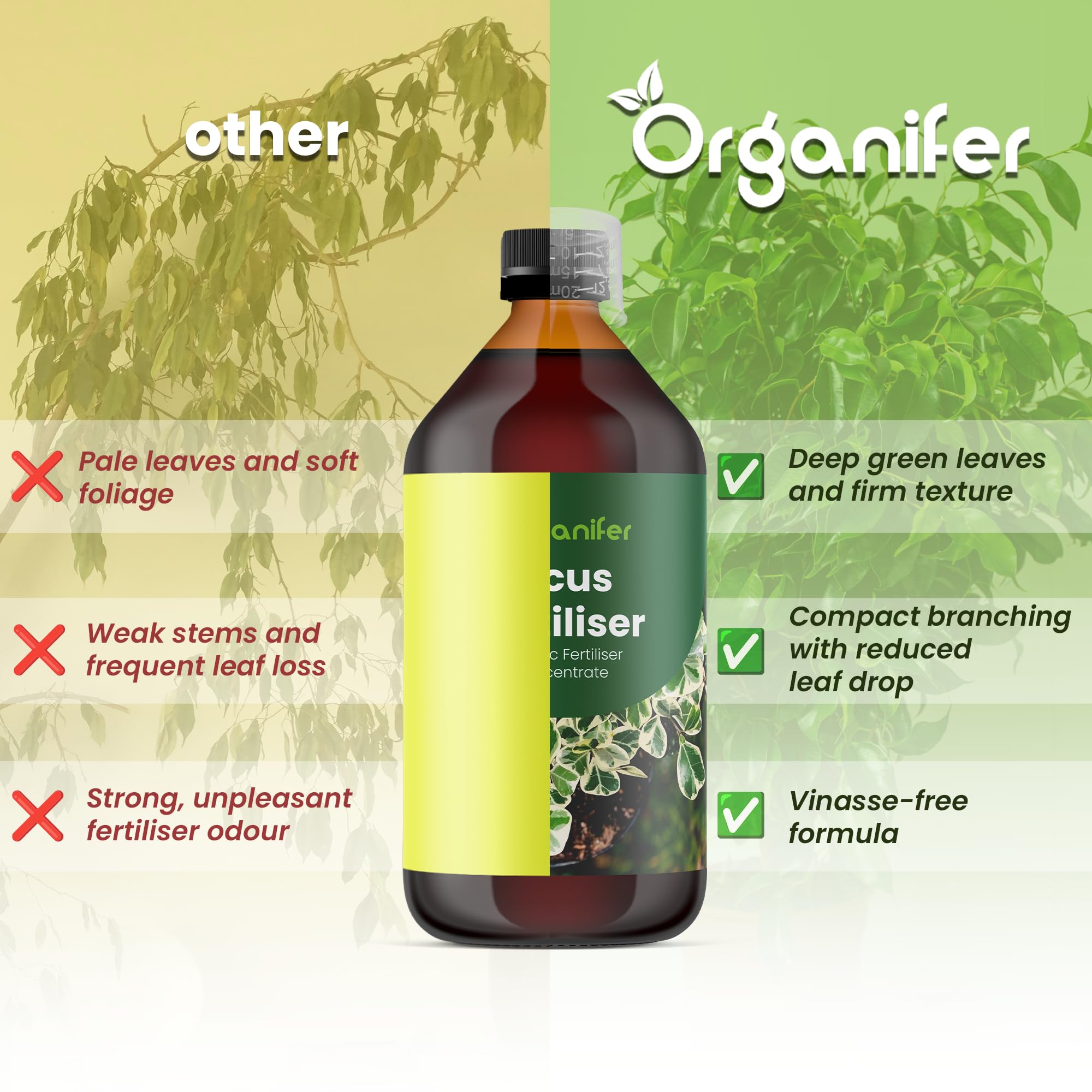 Fertilizante Líquido - 3x1L - Para Ficus - NPK 2-1-8 | Plantas Sanas Y Hojas Vigorosas - Organifer