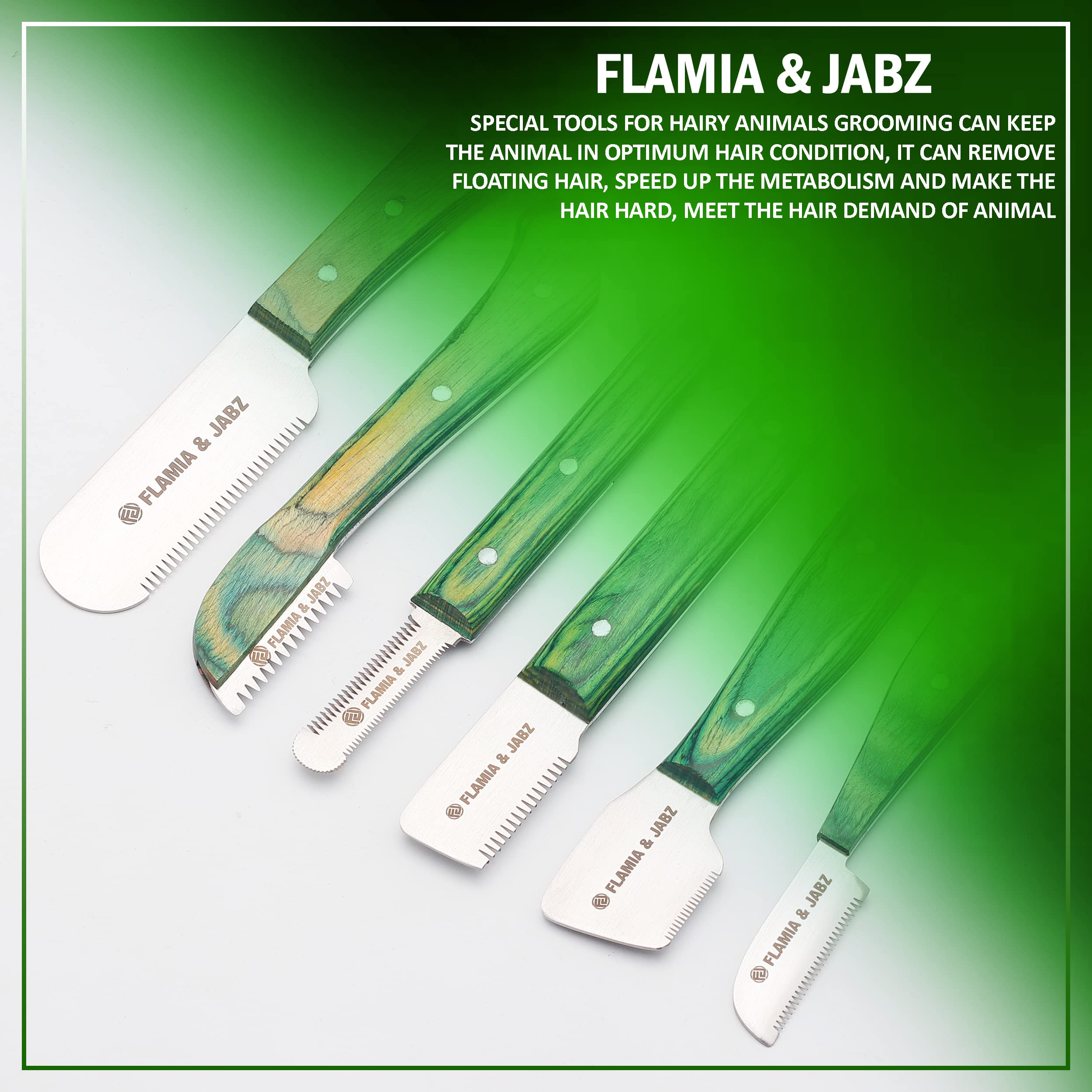 FLAMIA & JABZ FJ - Juego de cuchillos profesionales (6 piezas) para perros y mascotas, mango de madera con hoja de acero inoxidable (diestros) (verde)
