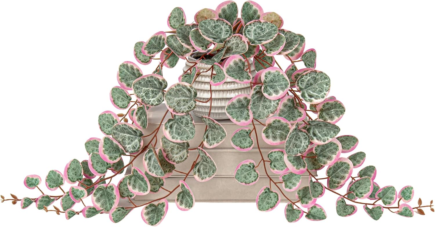 Briful Fake Plants Indoor 16'' Artificial String of Hearts Plants with Ceramic Pot Faux Draping Vine Plants for Home Bathroom Table Shelf Office Hotel Decor