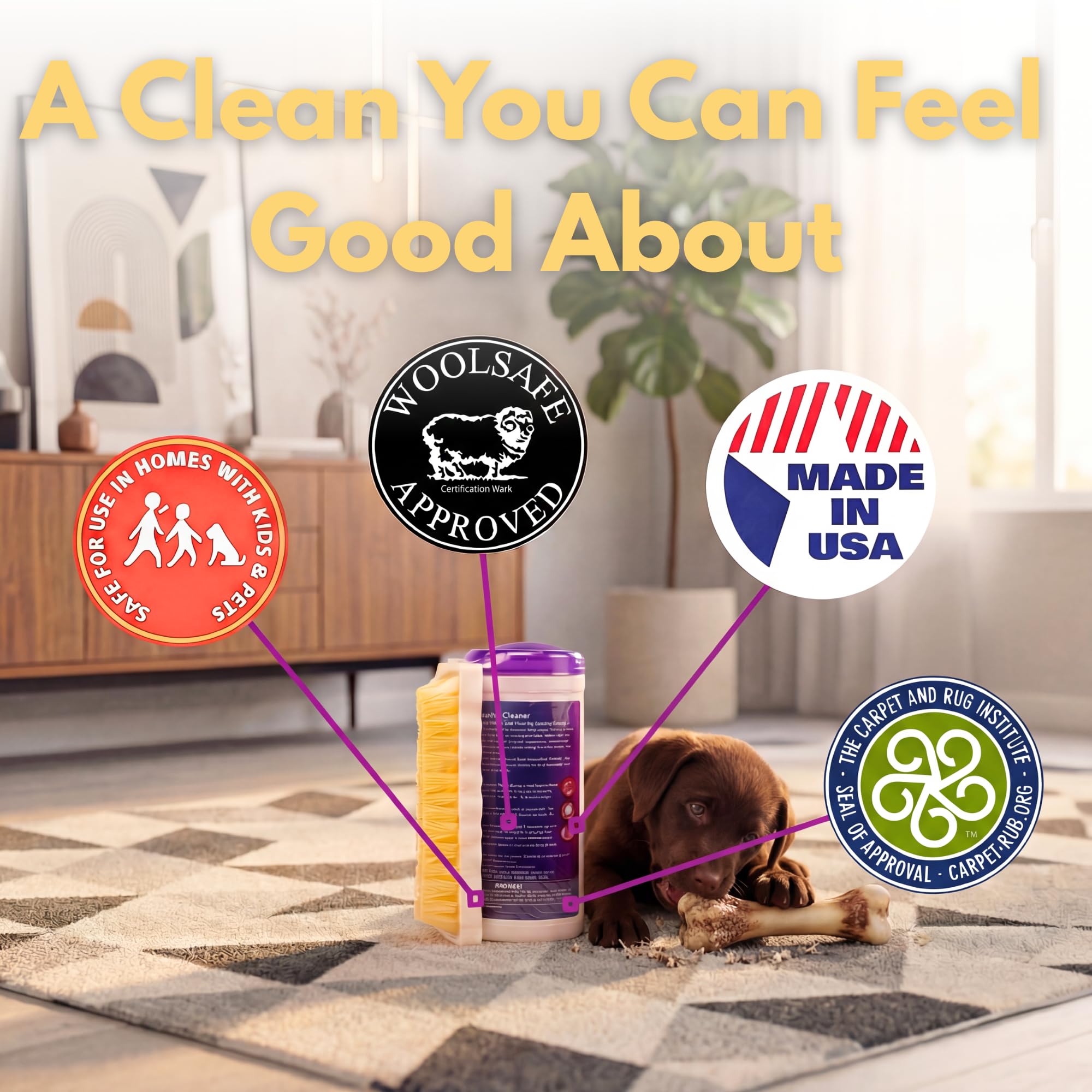 Capture Carpet Total Care Kit 100 - Home Couch and Upholstery, Car Rug, Dogs & Cats Pet Carpet Cleaner Solution - Strength Odor Eliminator, Stains Spot Remover, Non Liquid & No Harsh Chemical