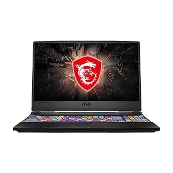 MSI Gaming GE65 Raider 9SF-050IN 2019 16-inch Laptop (9th