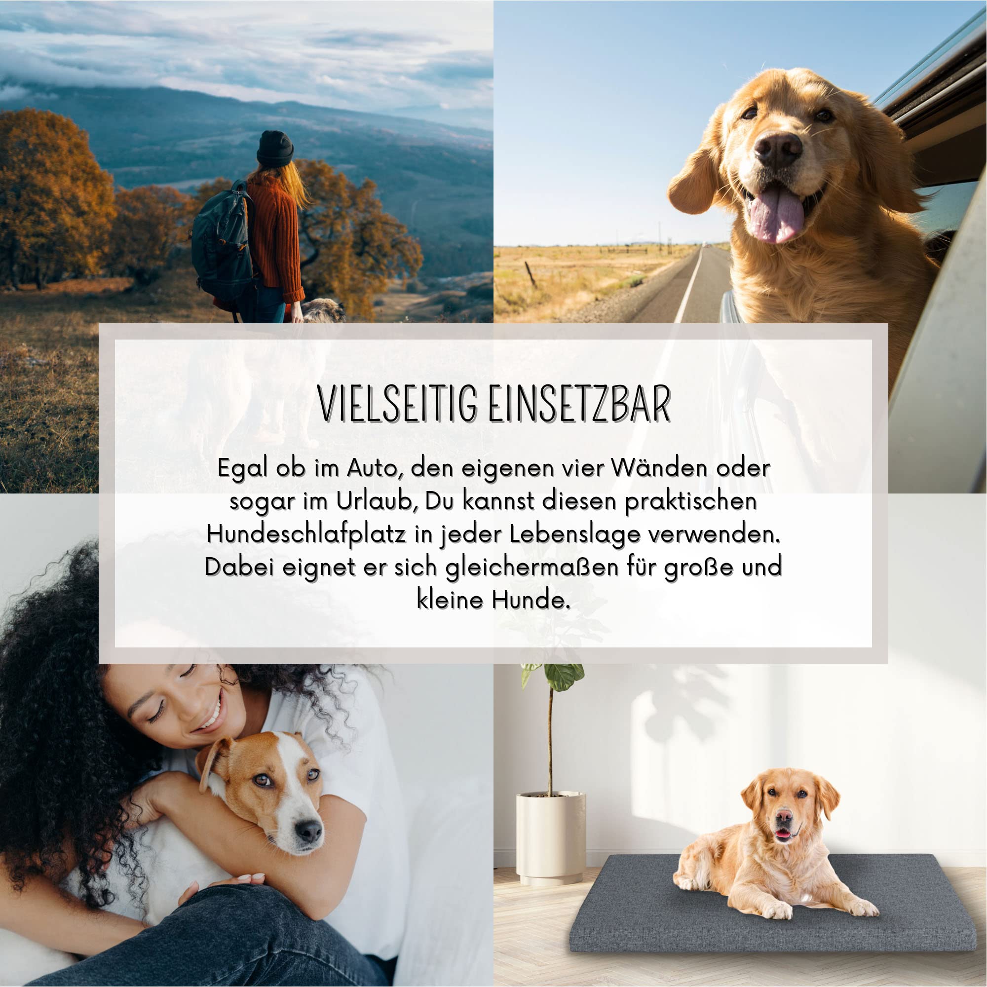 MSS e.K. Hundematte Leo 60 x 100 cm in Anthrazit Hundekorb mit abnehmbaren Polyester-Bezug und weicher Polsterung waschbares Hundekissen 100 x 60 x 6 cm Hundematte Hundesofa Welpenbett