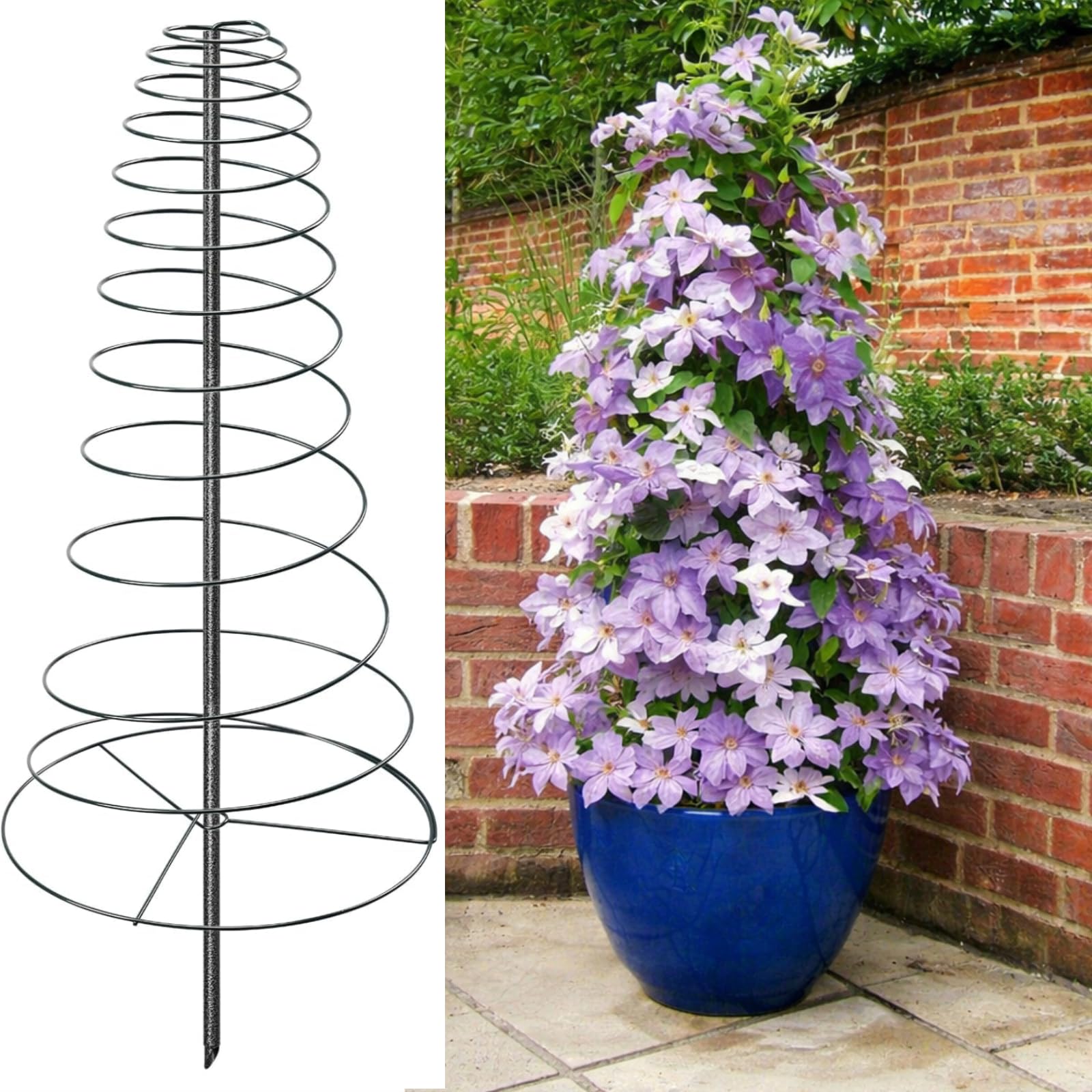 Amazon.com : Spiral Frame Trellis for Climbing Plants Outdoor