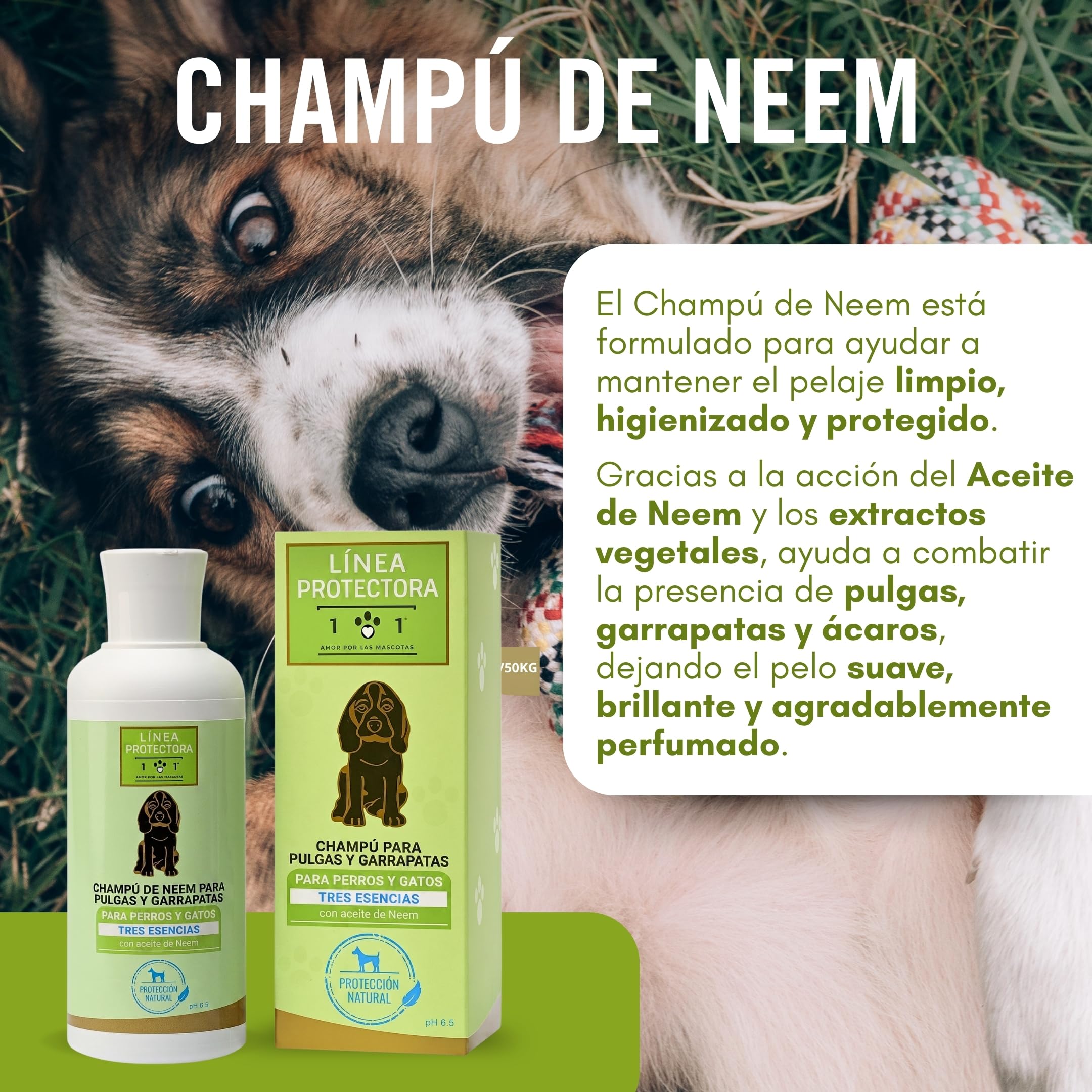 Champú Antiparasitario Perros y Gatos 250ml, Champú Aceite de Neem, Repelente Garrapatas Perros, Antigarrapatas, con Extractos de Clavo y Geranio, Champú Perro Linea 101 Made in Italy
