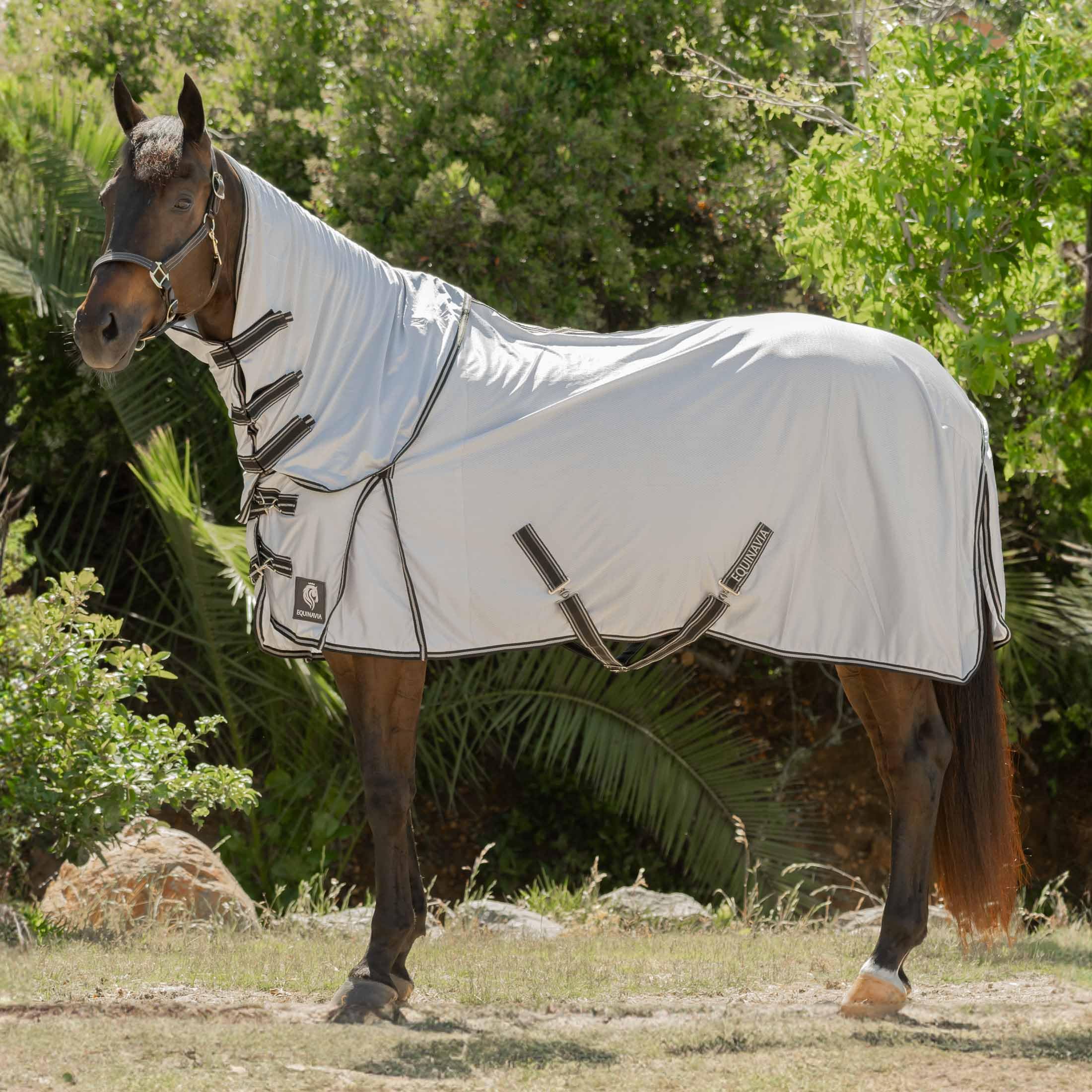 Equinavia Aktiv Athletic Detachable Horse Fly Sheet with Neck, Horse &amp; Pony