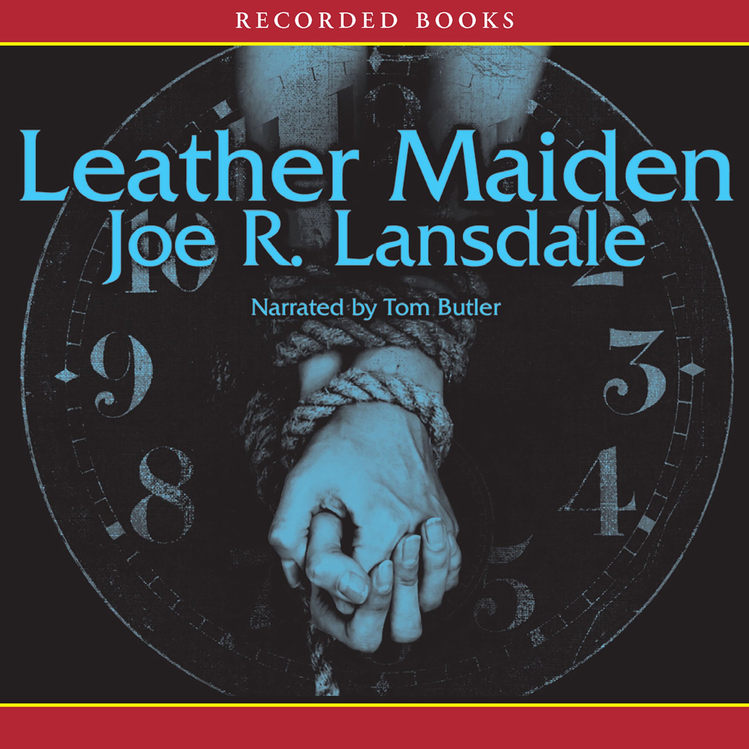 Cover art for Leather Maiden