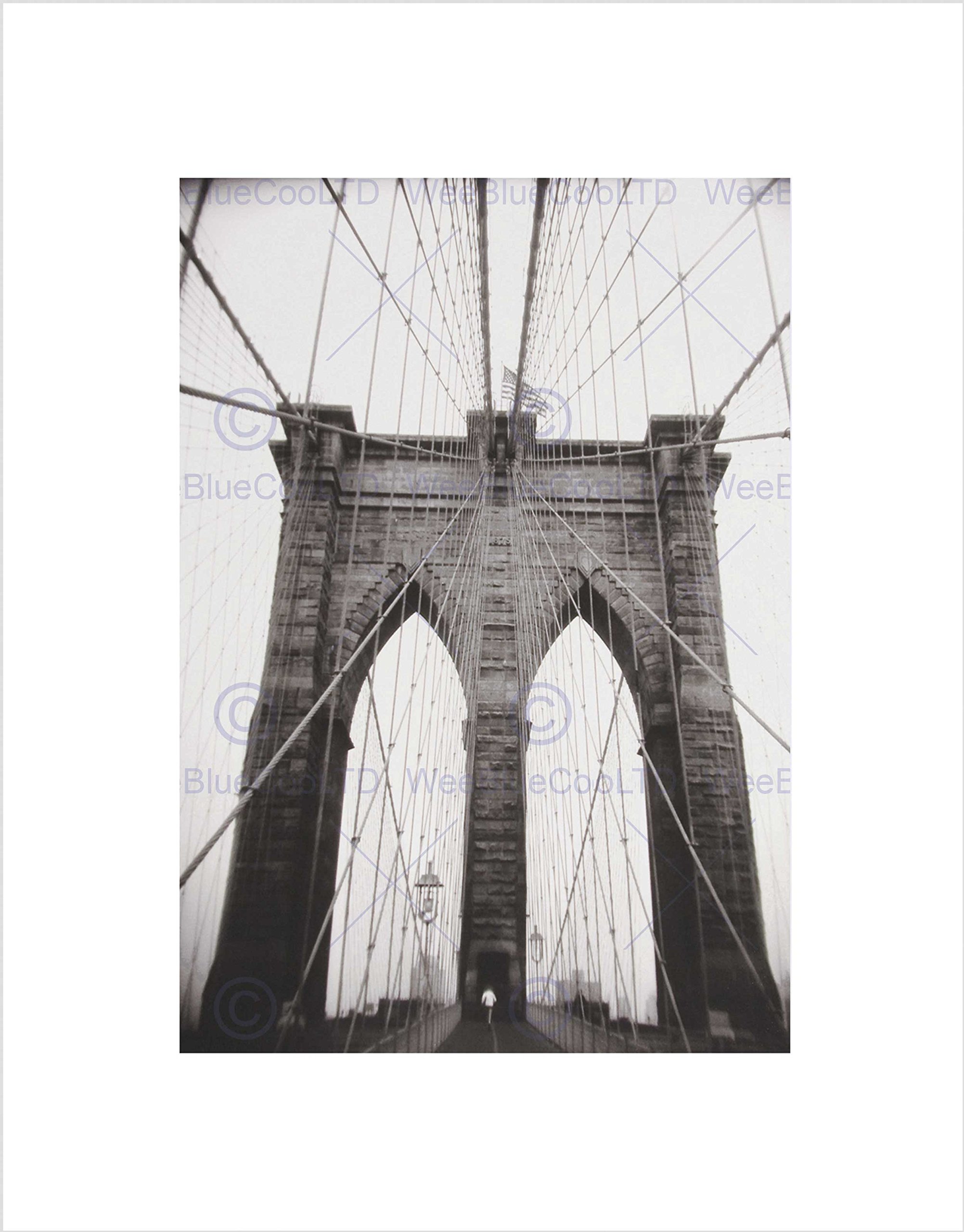 Wee Blue Coo Black White Ray Henders Brooklyn Bridge Wall Art Print