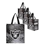 FOCO Las Vegas Raiders NFL 4 Pack Reusable Shopping Bags, team color, one size