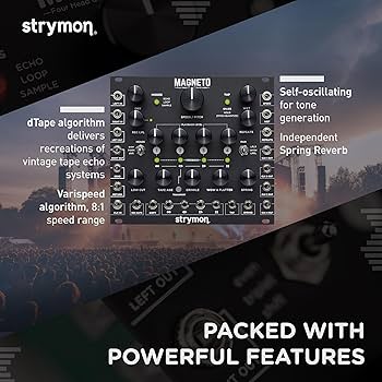 Amazon.com: Strymon Magneto Four Head Tape Delay And Looper