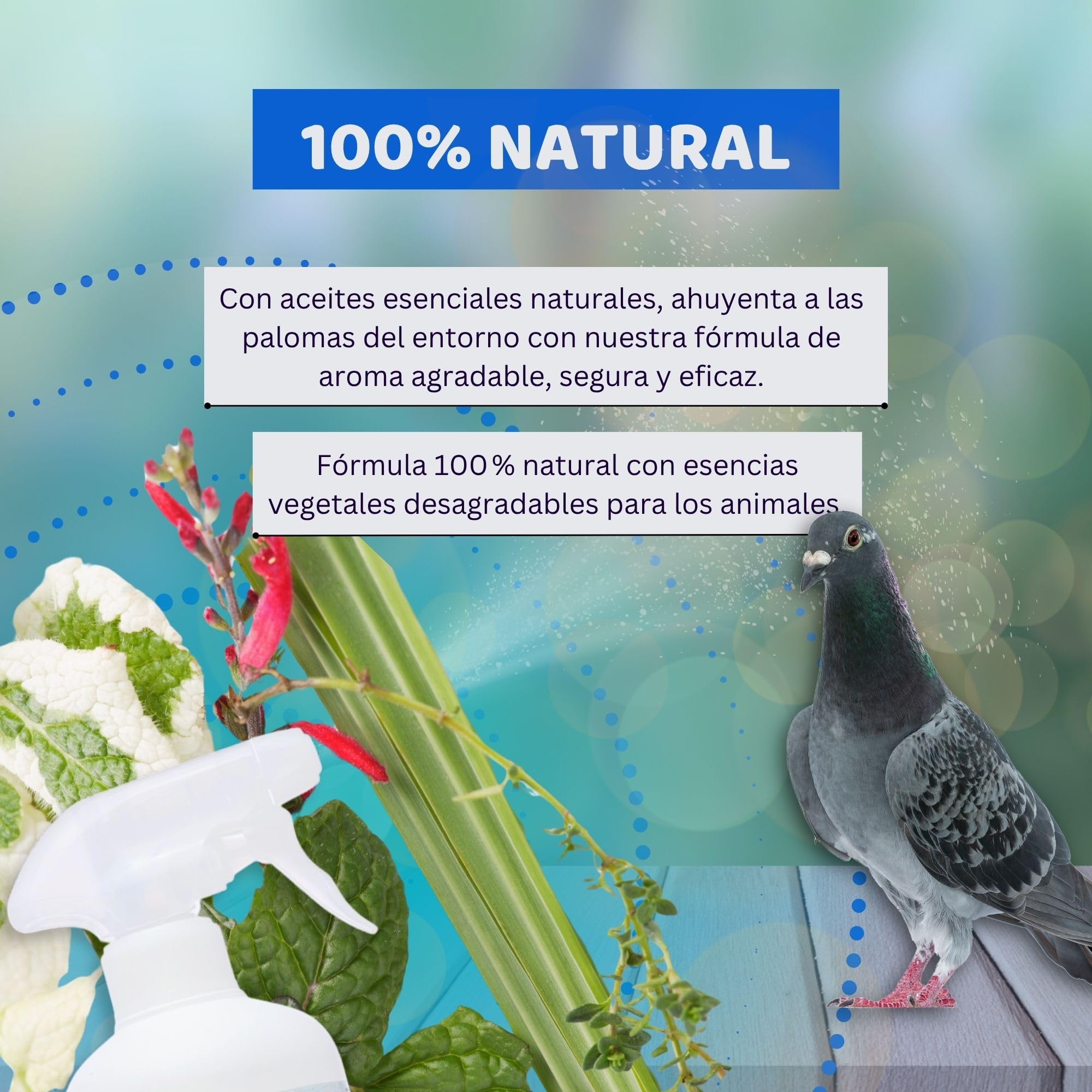 Mama Pets Spray Repelente Natural para Palomas, Pájaros, Gaviotas y Avès, Disuasor para Exteriores: Ventanas, Alféizares, Terrazas, Balcones y Barcos, 500 ml