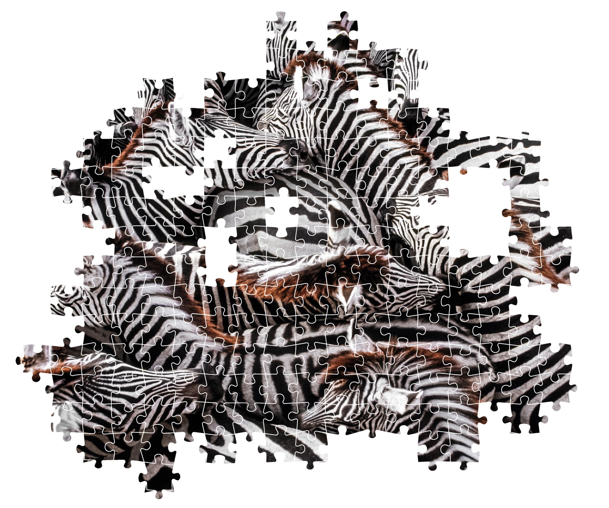 Amazon.com: Clementoni - 39729 - Puzzle National Geographic