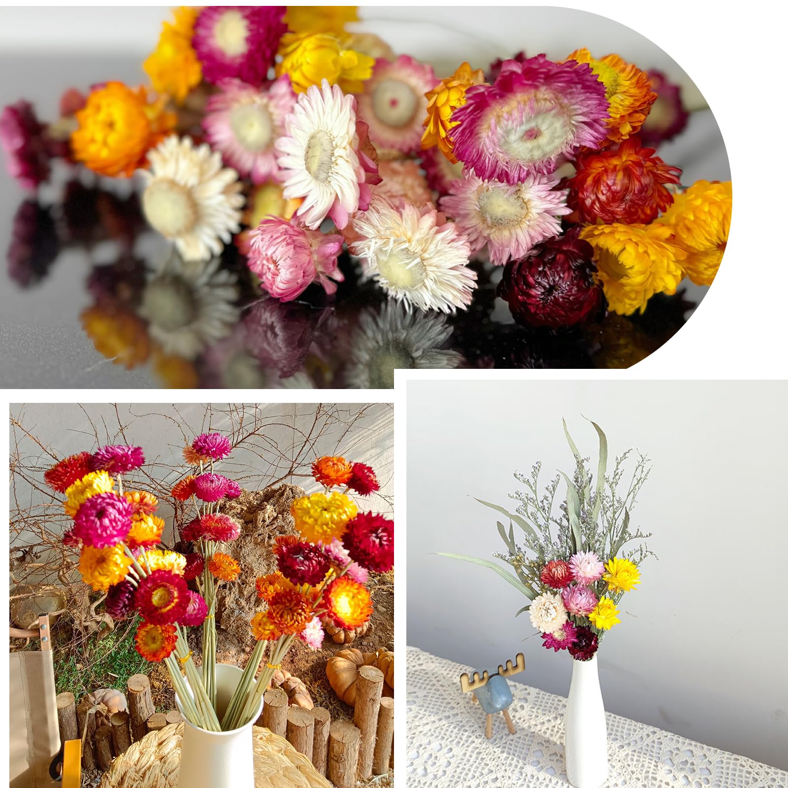 20 Sztuk Naturalne Suszone Kwiaty Preservativas, Suszone Kwiaty Dekoracyjne Chrysanthemum, Ręcznie Robione Kwiaty W Mieszanych Kolorach Do Dekoracji Bukietów DIY Aranżacje Kwiatowe Na Ślub I