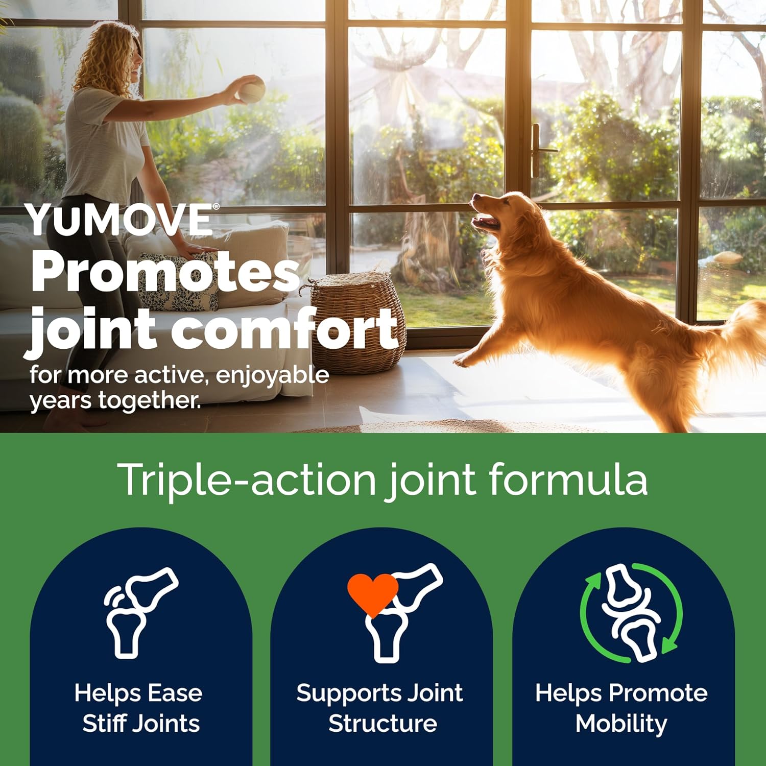 YuMOVE Adult Dog Hip & Joint Soft Chews, ActivEase Green Lipped Mussel, Glucosamine for Dogs, Hyaluronic Acid & Omega 3 - Barbecue Flavor (300ct Chews, Regular Strength)