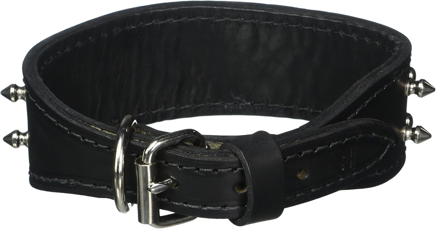 Spiked & Studded Latigo Leather Pet Collar, 2" x 27", Pink