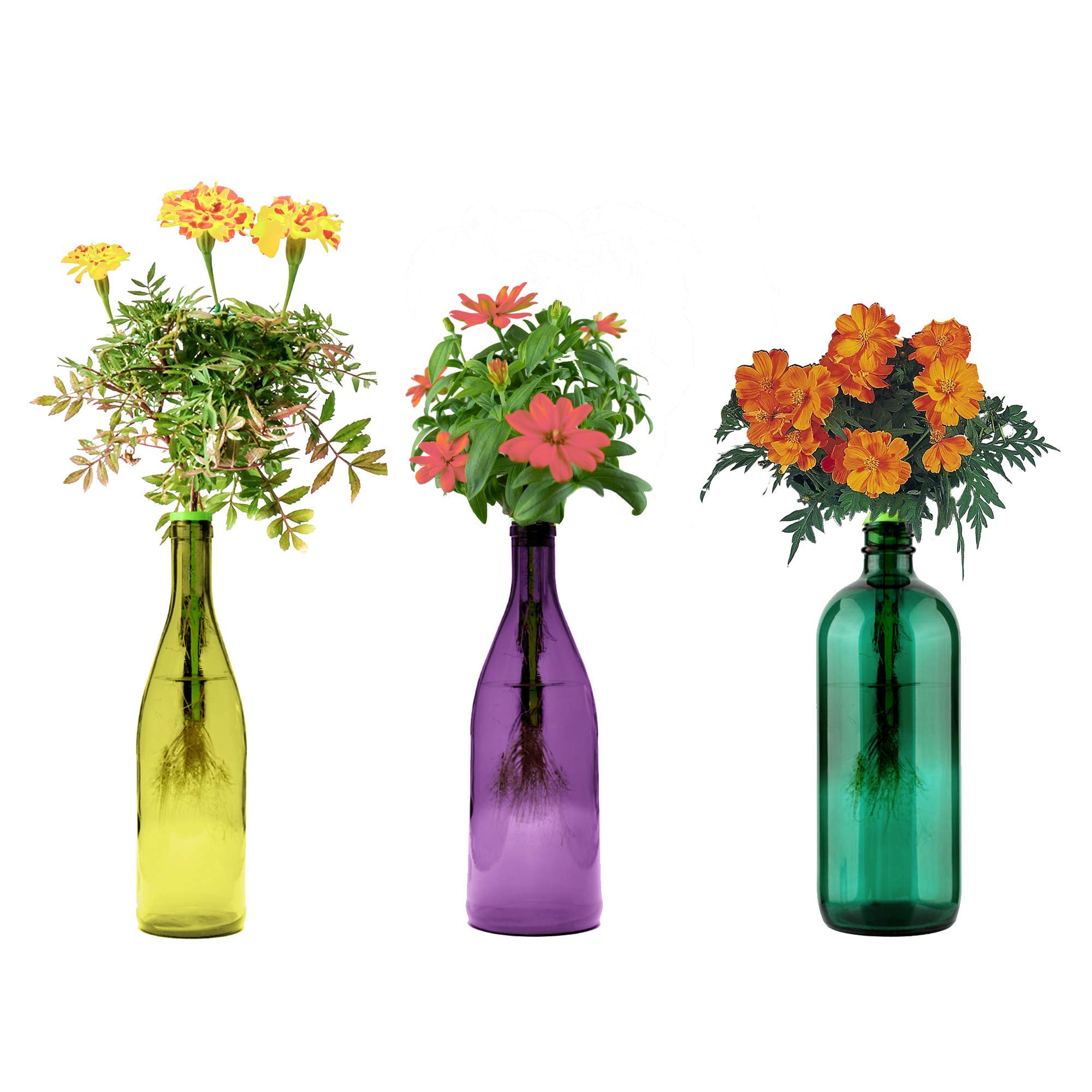 Buy Garden Kit Indoor Grow Fresh s s Hydroponically Indoors with this