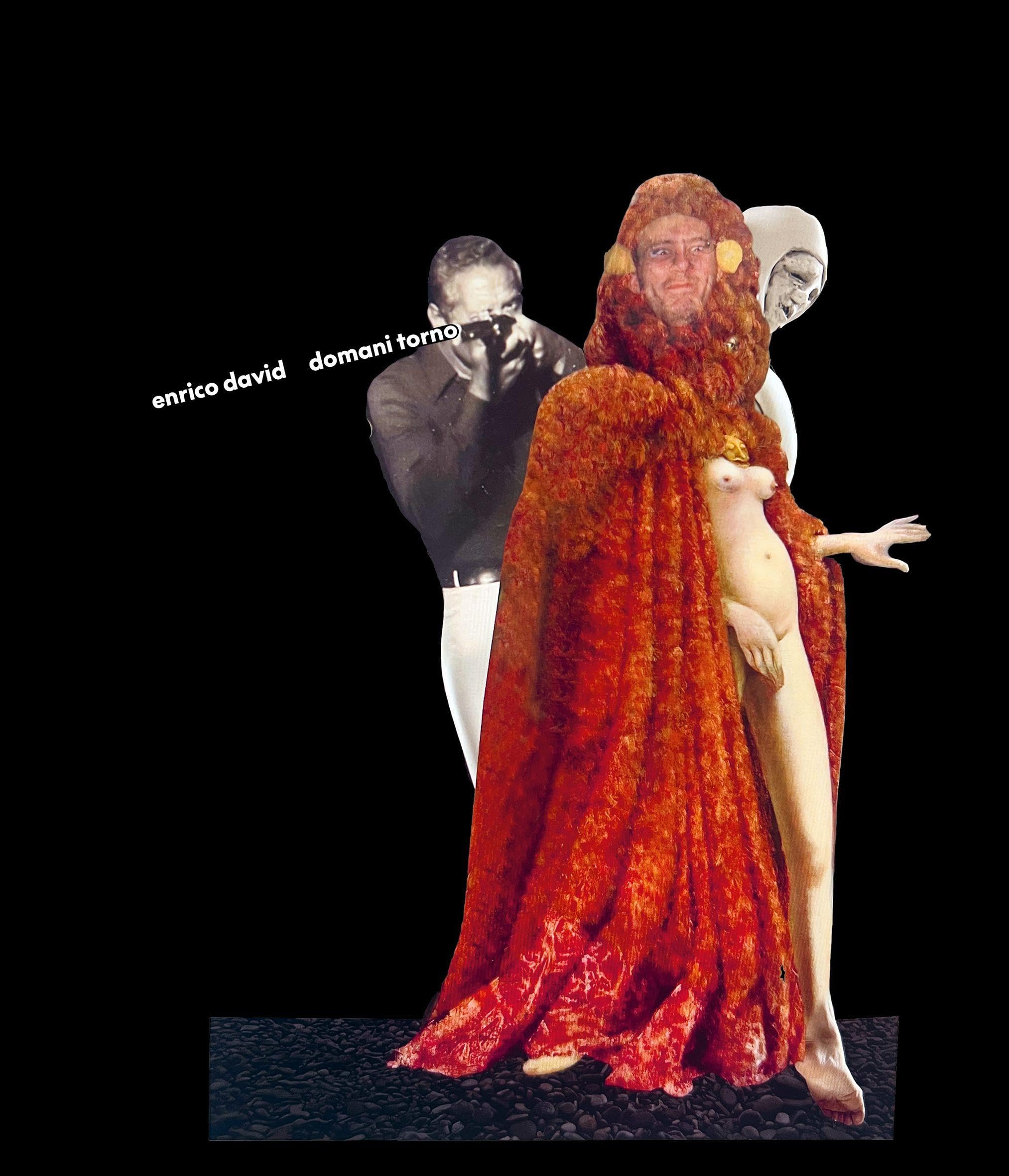 Enrico David. Domani torno: Ausst. Kat. Castello di Rivoli Museo d’Arte Contemporanea, Turin