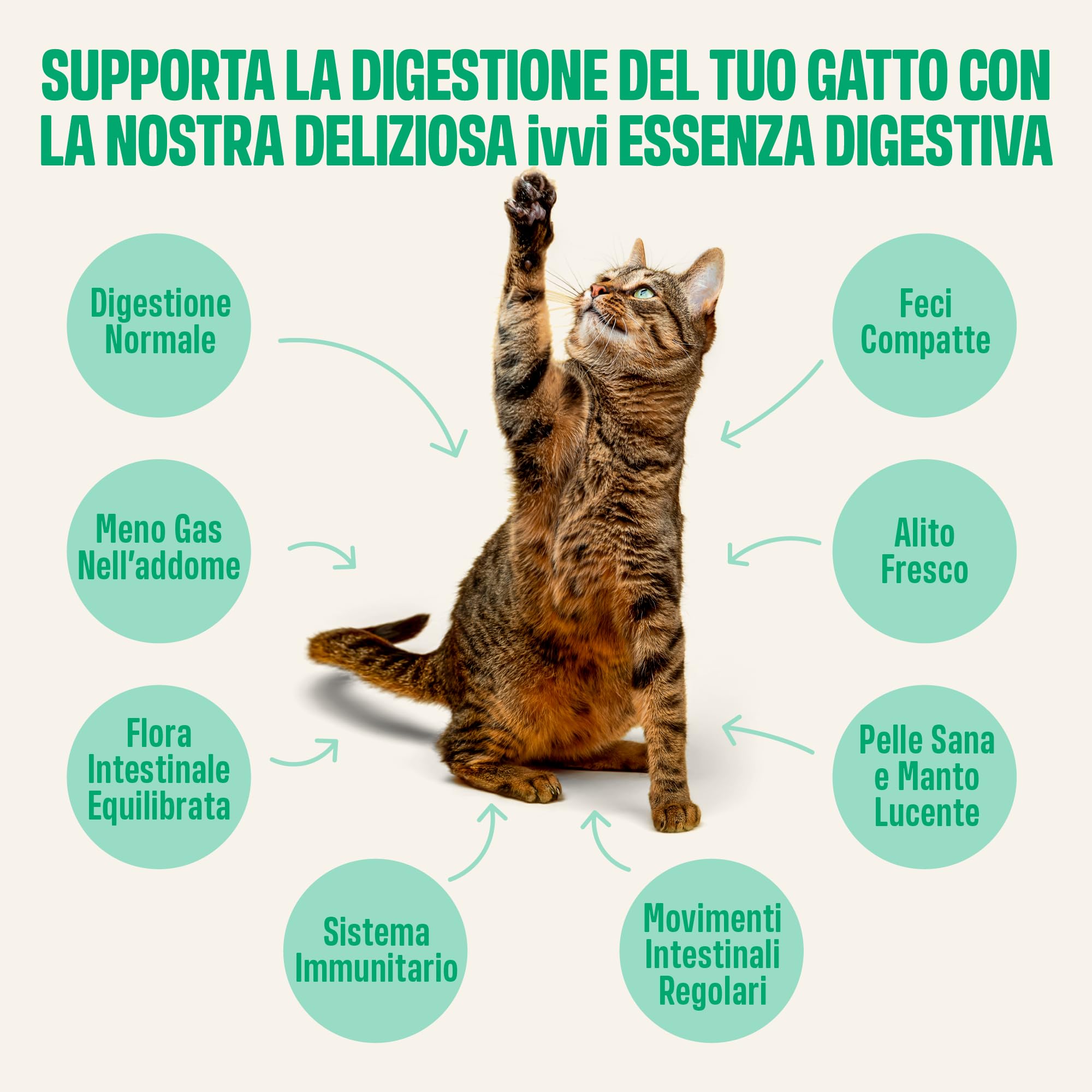 ivvi Essenza Digestiva per Gatti – 30 Snack Cremosi con Tonno, Zucca, Semi di Lino e Postbiotico derivato da Probiotici – Digestione, Flora Intestinale e Benessere – 450 g