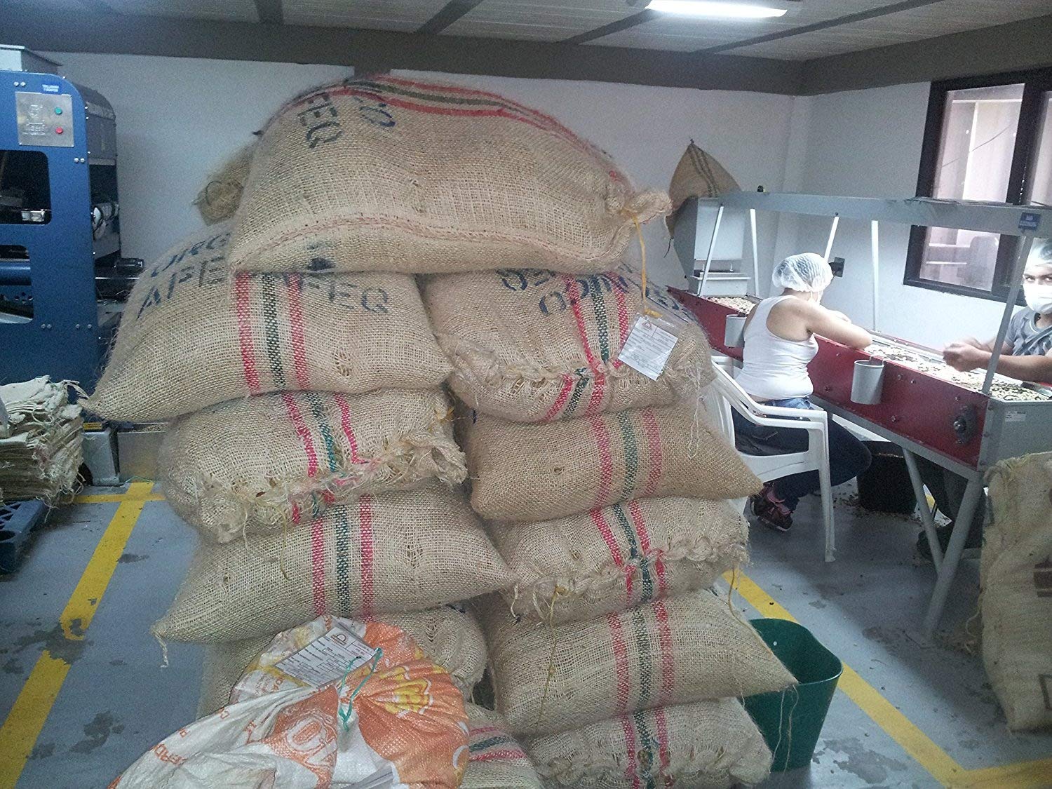 Colombian Green Unroasted Coffee Beans 3 Pounds Single Origin Farm Barcelona