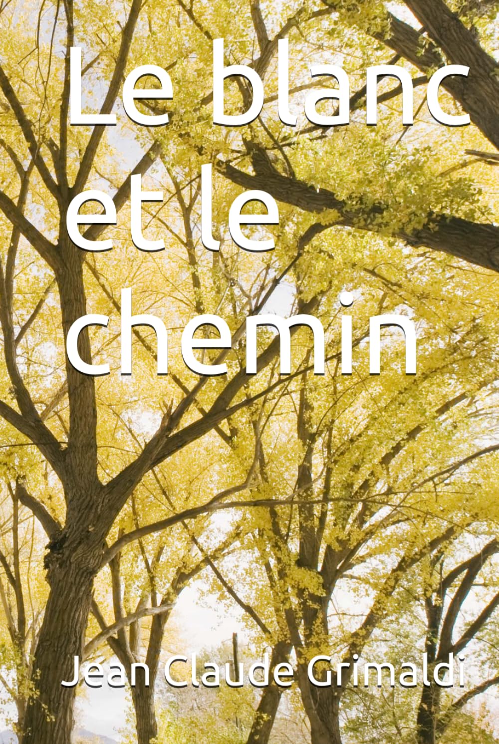 Le blanc et le chemin