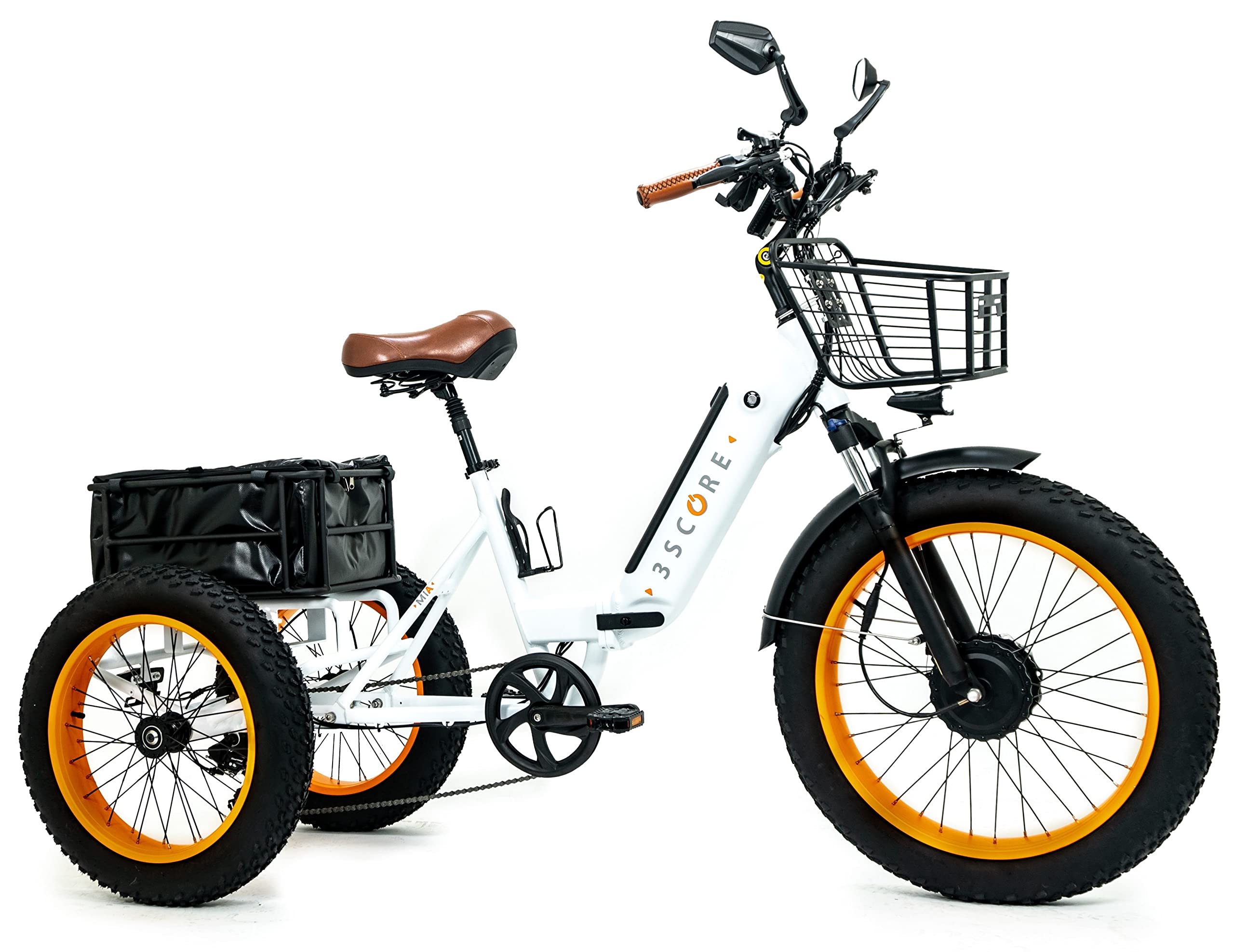 Electric Fat Trike 750W Motor 