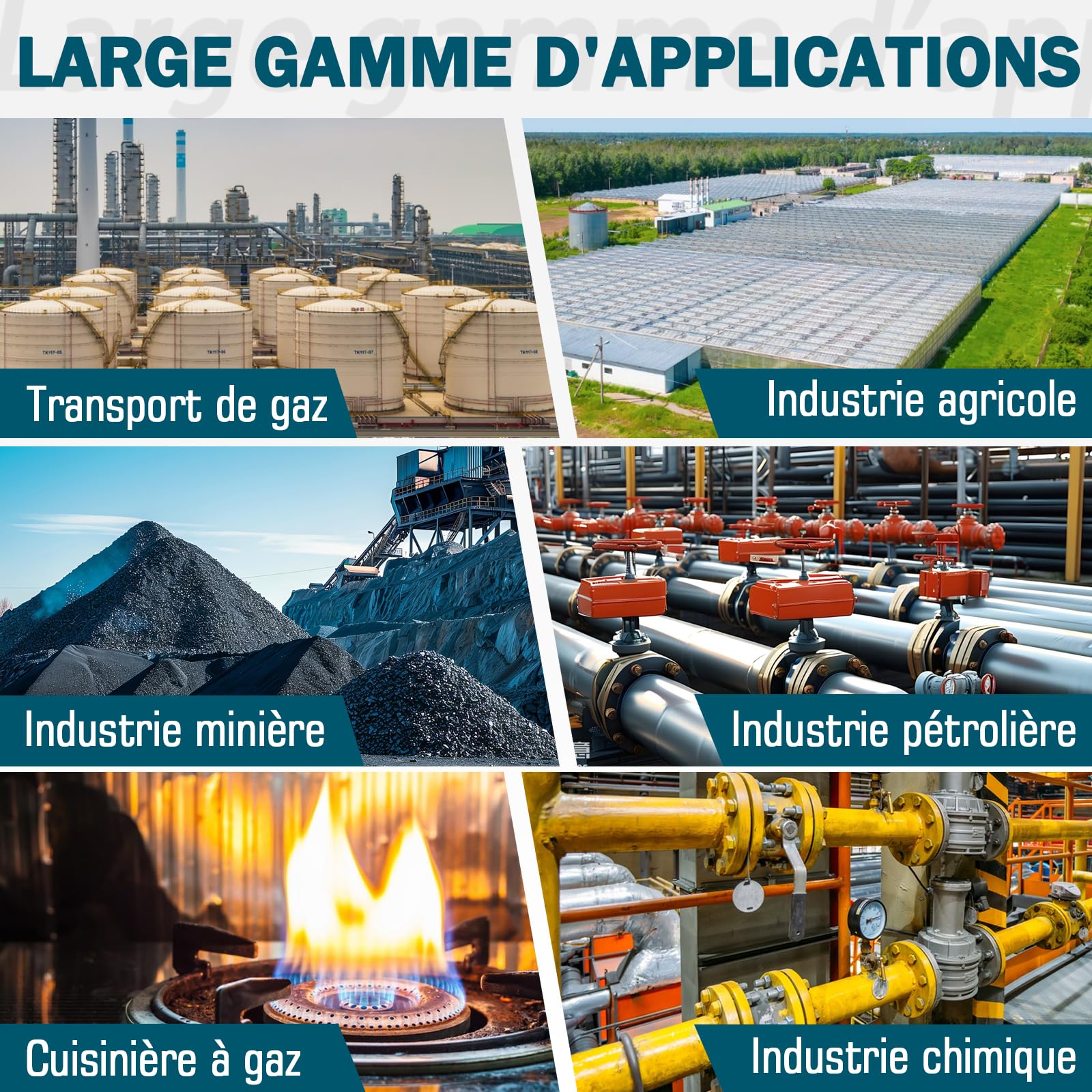 Détecteur De 4 Gaz, Moniteur 4 Gaz Rechargeable pour H2S, CO, LEL, O2 avec Alarme Sonore, Lumineuse Et Vibrante, Noir