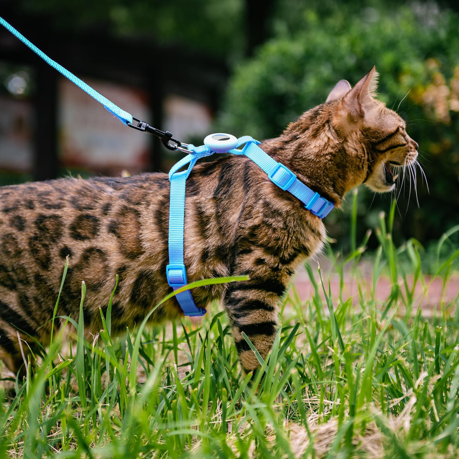 Set di imbracatura e guinzaglio per gatti a prova di fuga per passeggiate, guinzaglio regolabile per gattini con supporto per Airtag per gatti piccoli e grandi, imbracatura da viaggio
