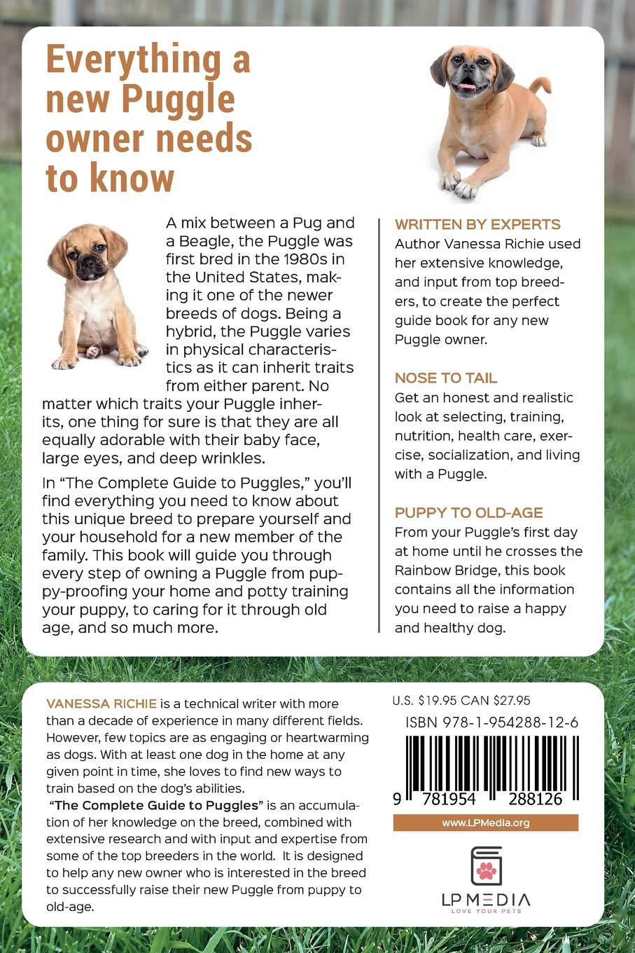 How Do You House Train A 9 Month Old Puppy