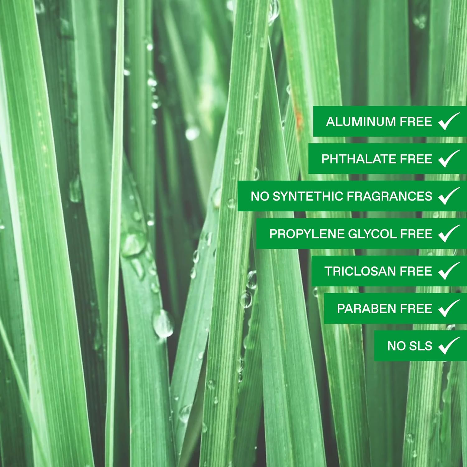 MONKS Whole Body Natural Deodorant Stick - For Women and Men, Aluminum-Free, Baking Soda Free, Organic AHA’s, Pure Essential Oils (Copal Green) - Image 5