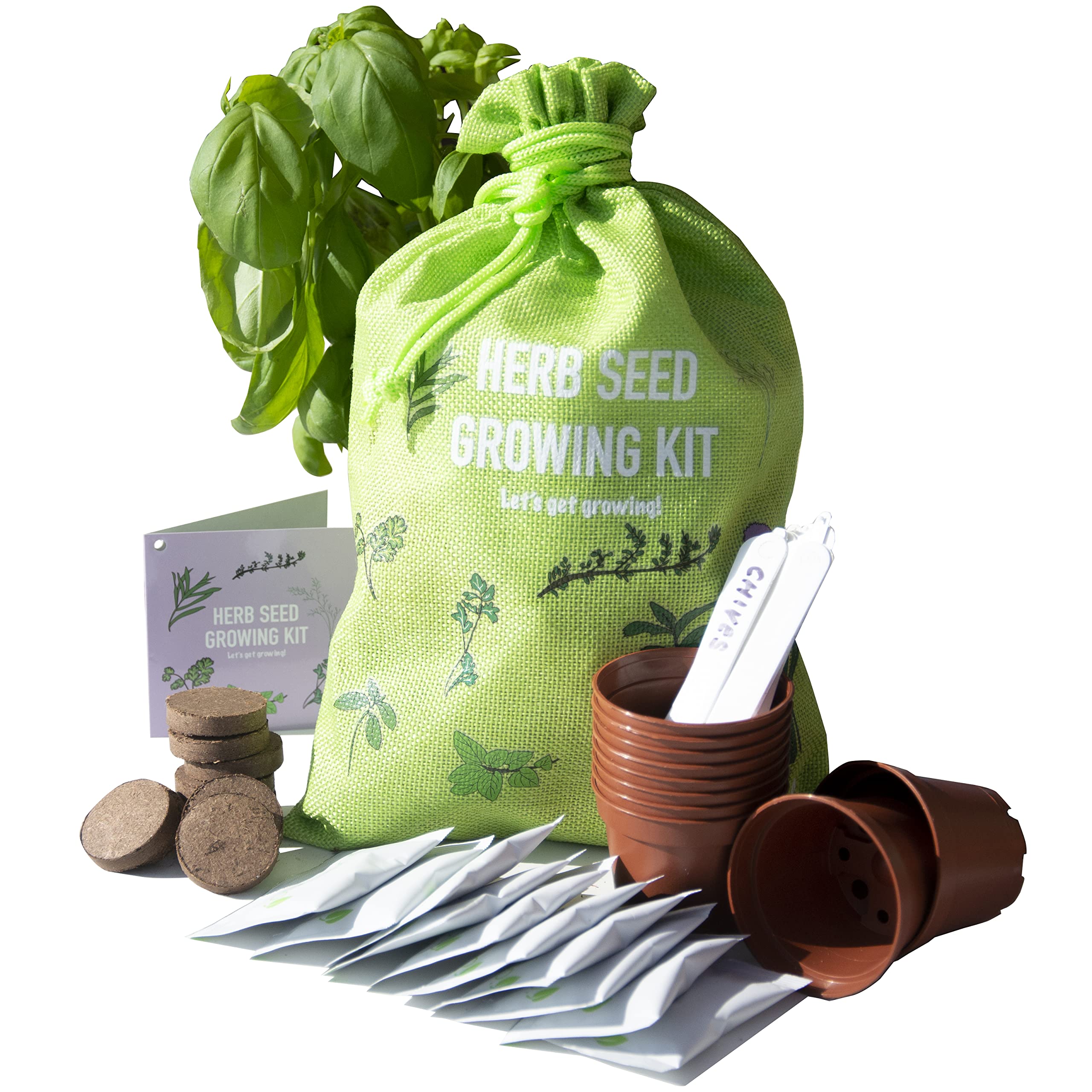 onlyfly Scott&Co. Herbs Seed Kit, 10 Different Herb Seed Varieties to Grow Your Own, Basil, Coriander, Chives and More. Seeds, Pots, Plant Labels and Compost, Gardening Gifts for Women and Men.