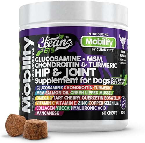 Suplemento de cadera y articulaciones para perros con glucosamina para perros + condroitina, cúrcuma, ácido hialurónico, MSM, aceite de salmón,