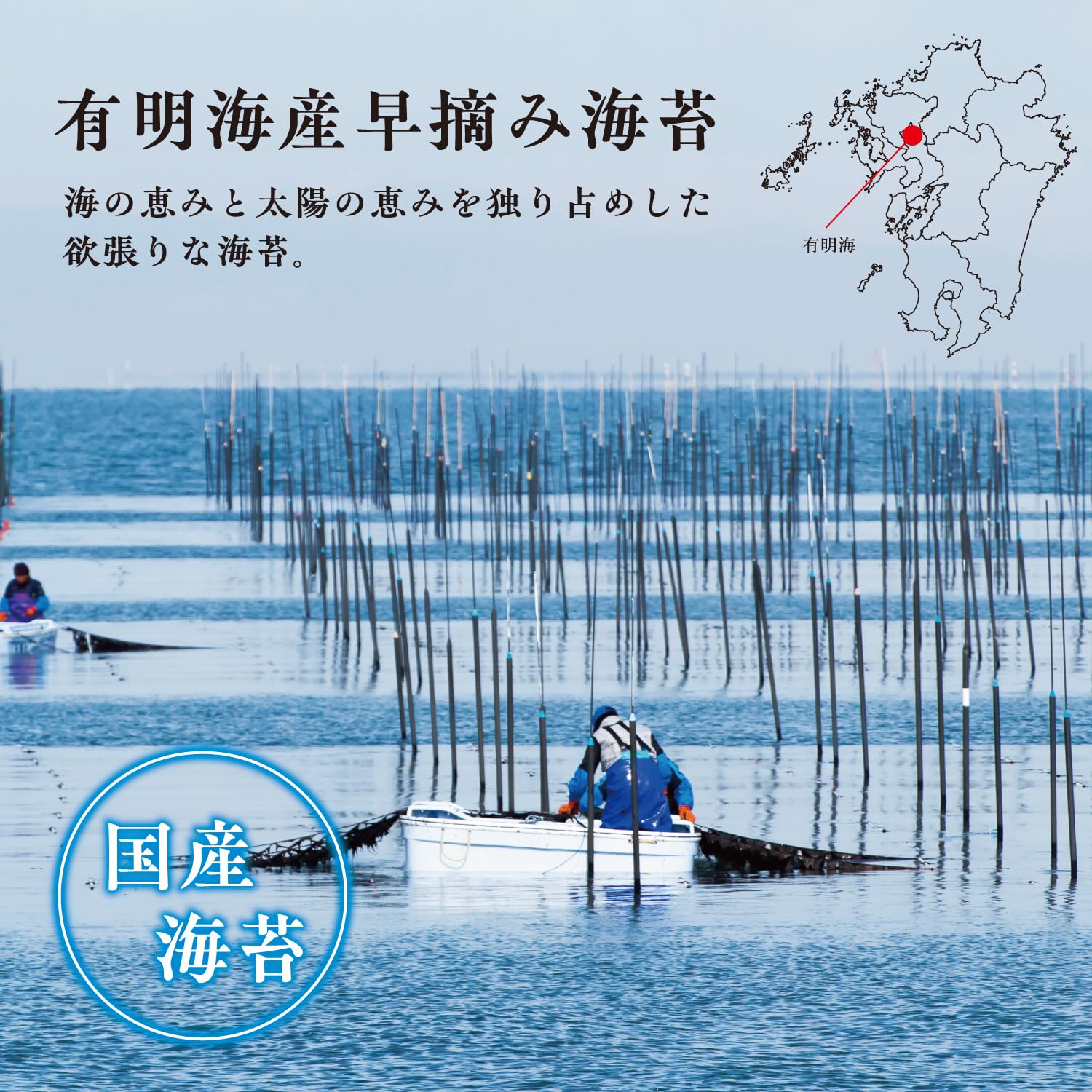 極選プレミアム　木熟メロゴールド Amazon.co.jp: 木熟 メロゴールド アメリカ産 3.5kg 6～8玉 中玉 小箱
