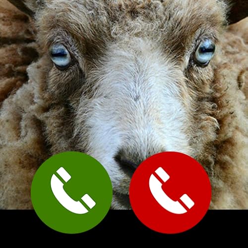 Fake call from Sheep Game