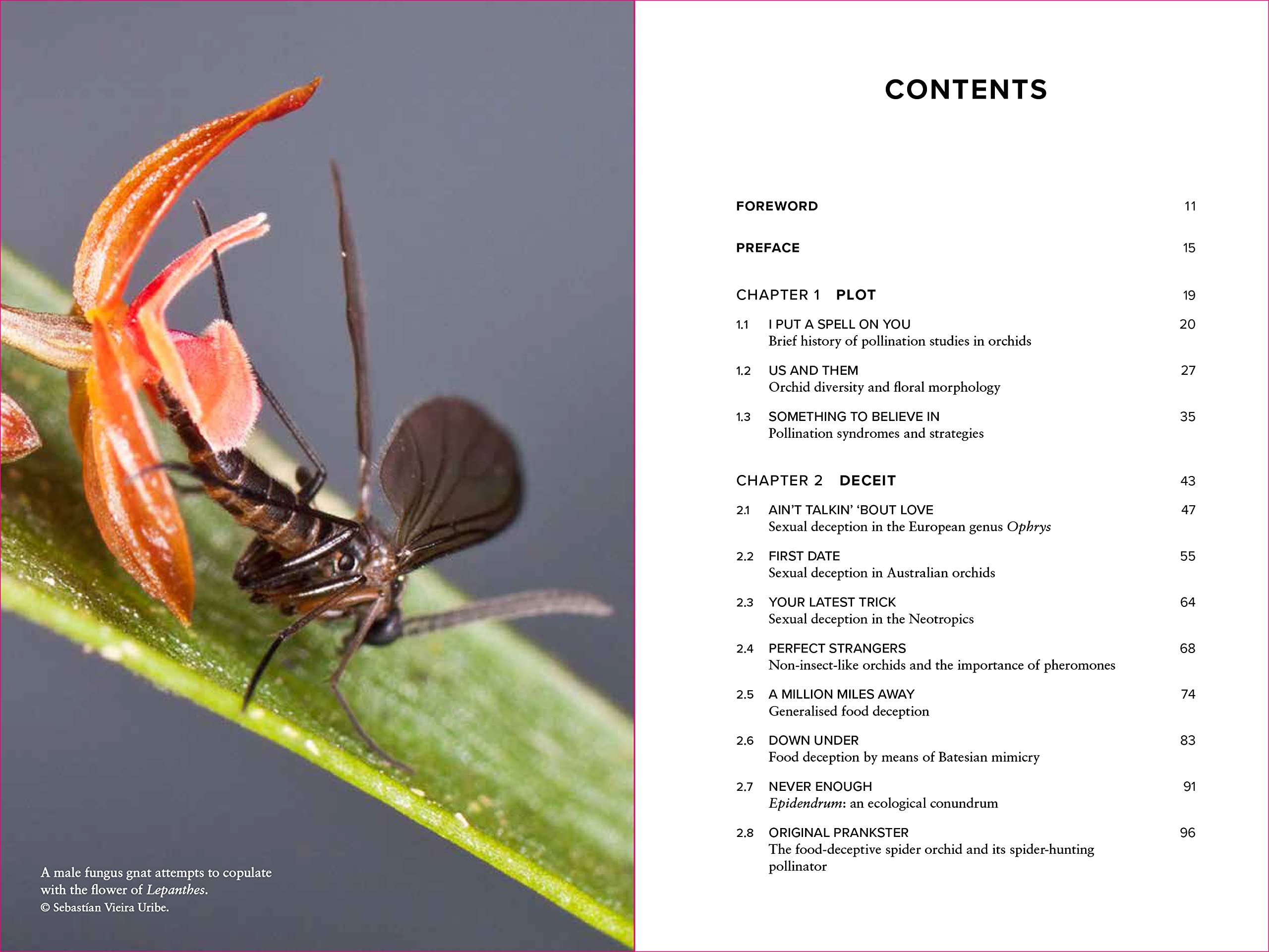 Demystifying Orchid Pollination: Stories of sex, lies and obsession