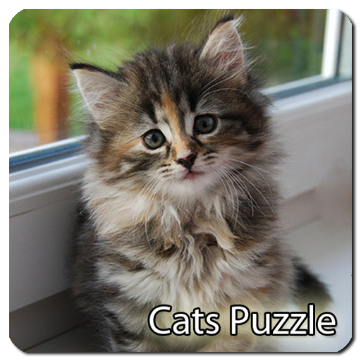 Cats Jigsaw Puzzle Game App on Amazon Appstore
