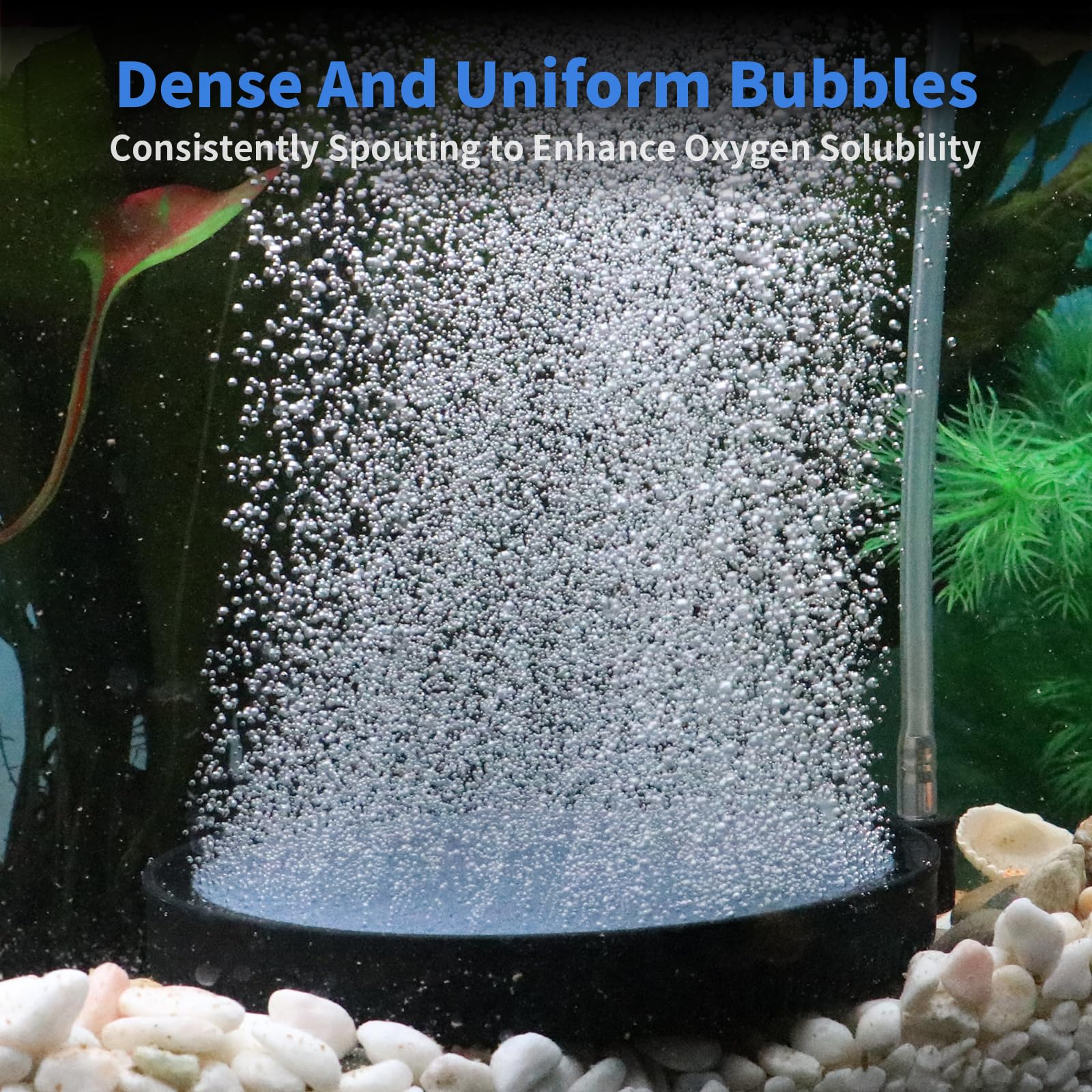 COOSPIDER Fish Tank Air Stone Aquarium Oxygen Aerator, High Dissolved Oxygen Diffuser Airstone Bubbler for Hydroponics and Pond (5 inch)