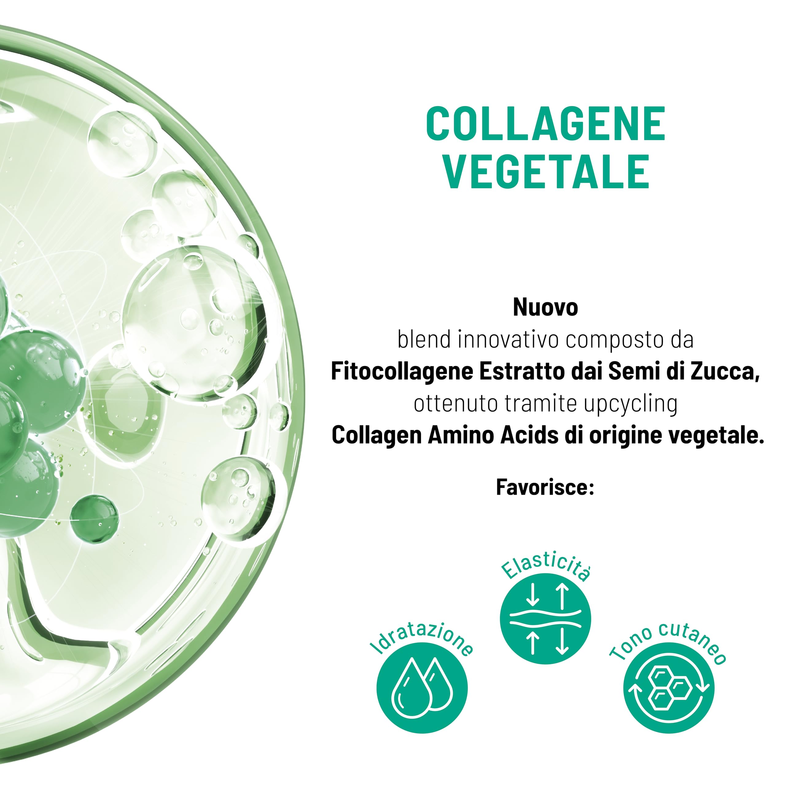 Equilibra, Collagene Vegetale Crema Viso Anti-rughe Rimpolpante, 50 ml , con Fitocollagene da Semi di Zucca e Collagen Amino Acids, Vitamina C, Pro-vitamina B5, Dermatologicamente Testato