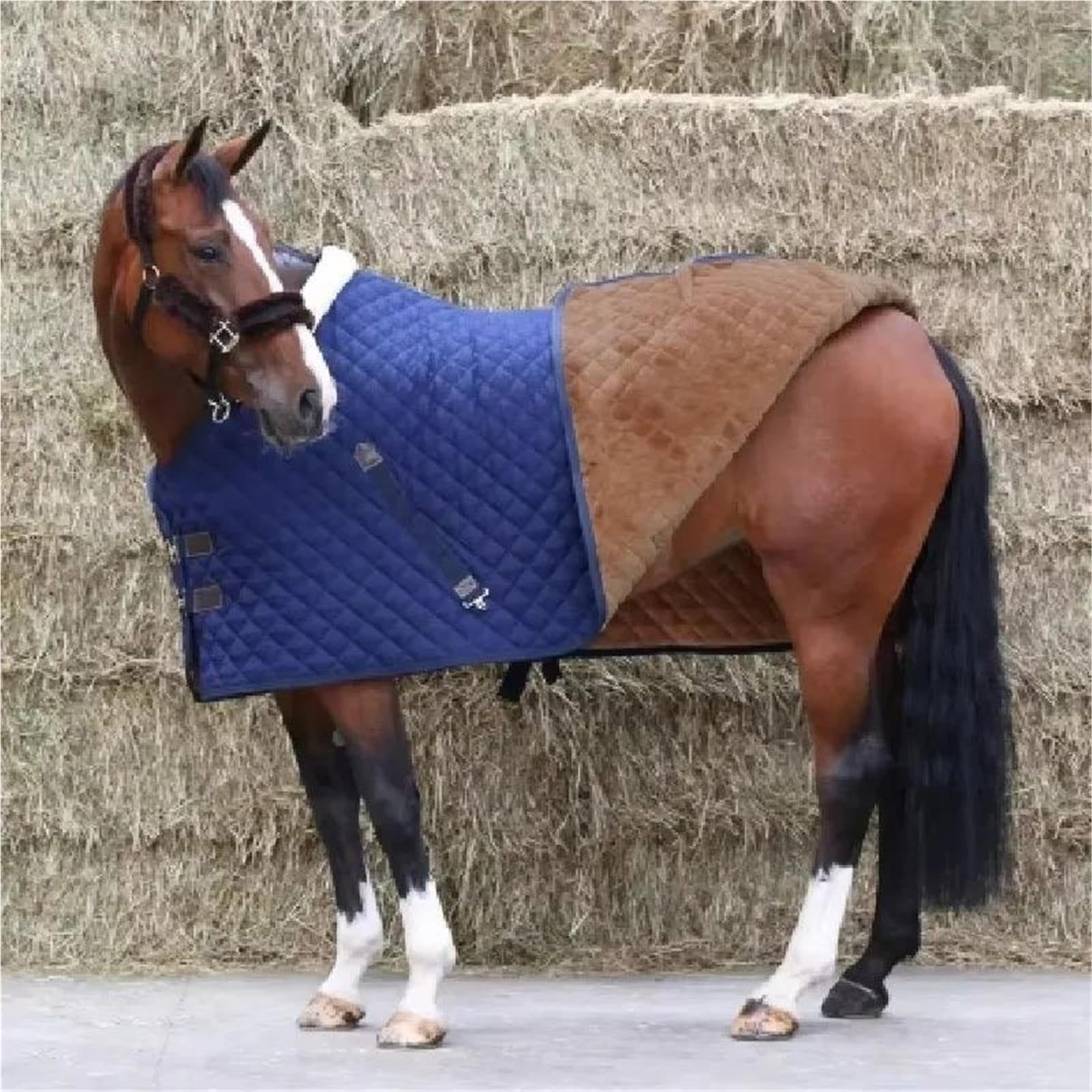 Coperta for Spettacoli Equestri for Interni | Tessuto morbido dal design ultra caldo for competizioni equestri