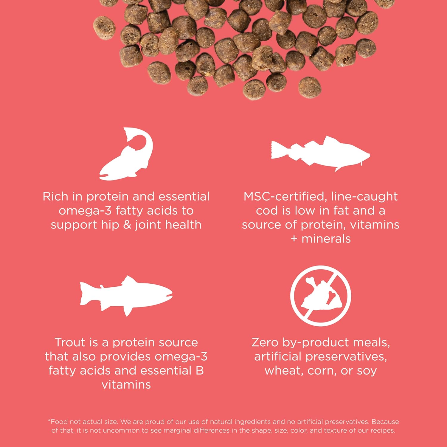 Go! Solutions Carnivore Salmon + Cod Grain-Free Dry Cat Food, Our Highest-Protein Kibble Made with Real Meat & Fish, Chicken-Free Recipe, for Kittens, Adults & Seniors, 16 lb Bag