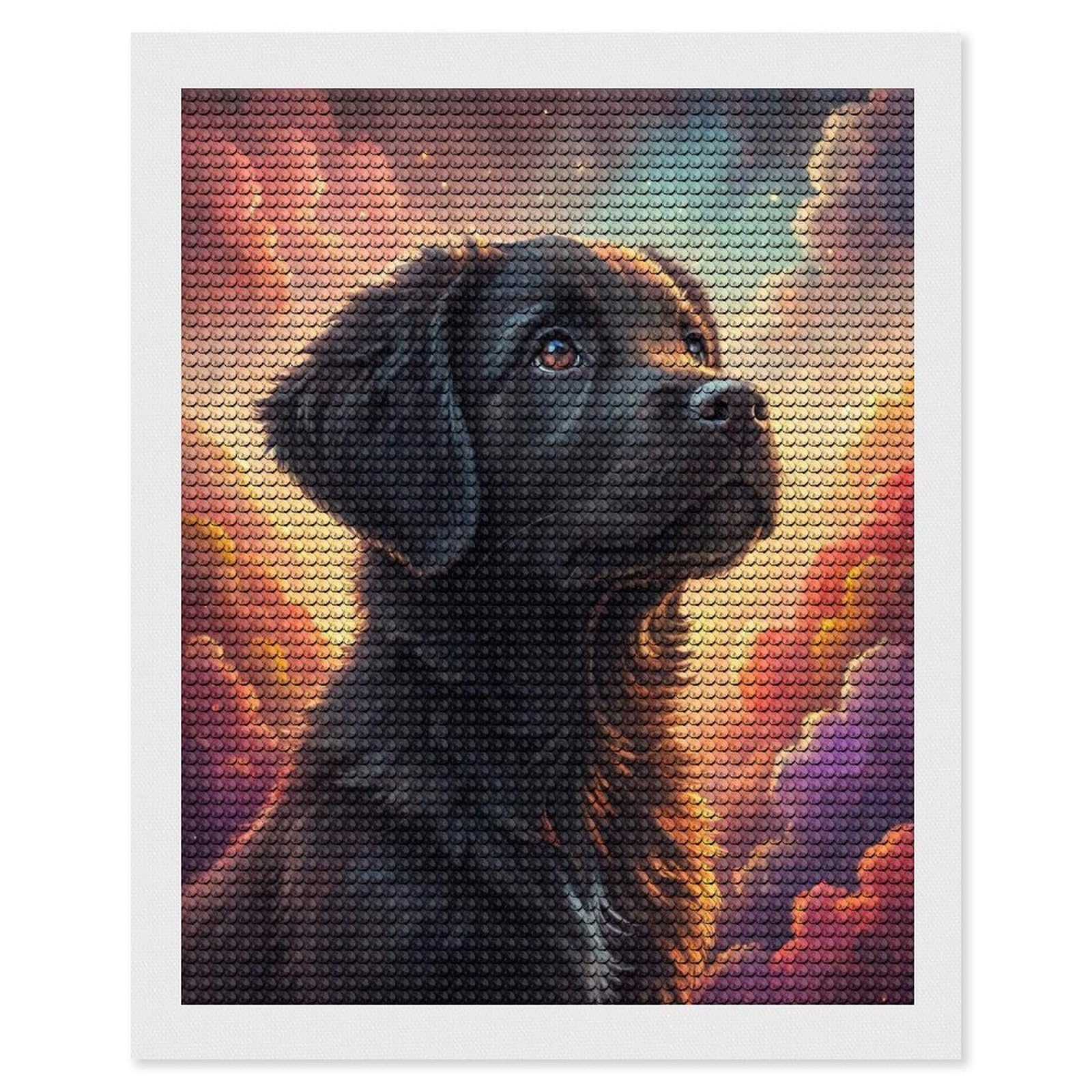 Junmoney Black Dog in A Dreamy Sky Diamond Art Kit 16"x20", Holiday Gift Idea, for Women, Easy Handmade Project, Vintage Style Decor, Printed Canvas