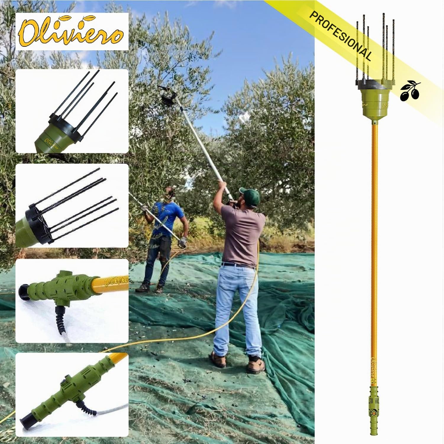 Crisalide® - Oliviero Synthesis - Vareador recogedor de aceitunas a batería de 12 V, barra fija de 2,5 m