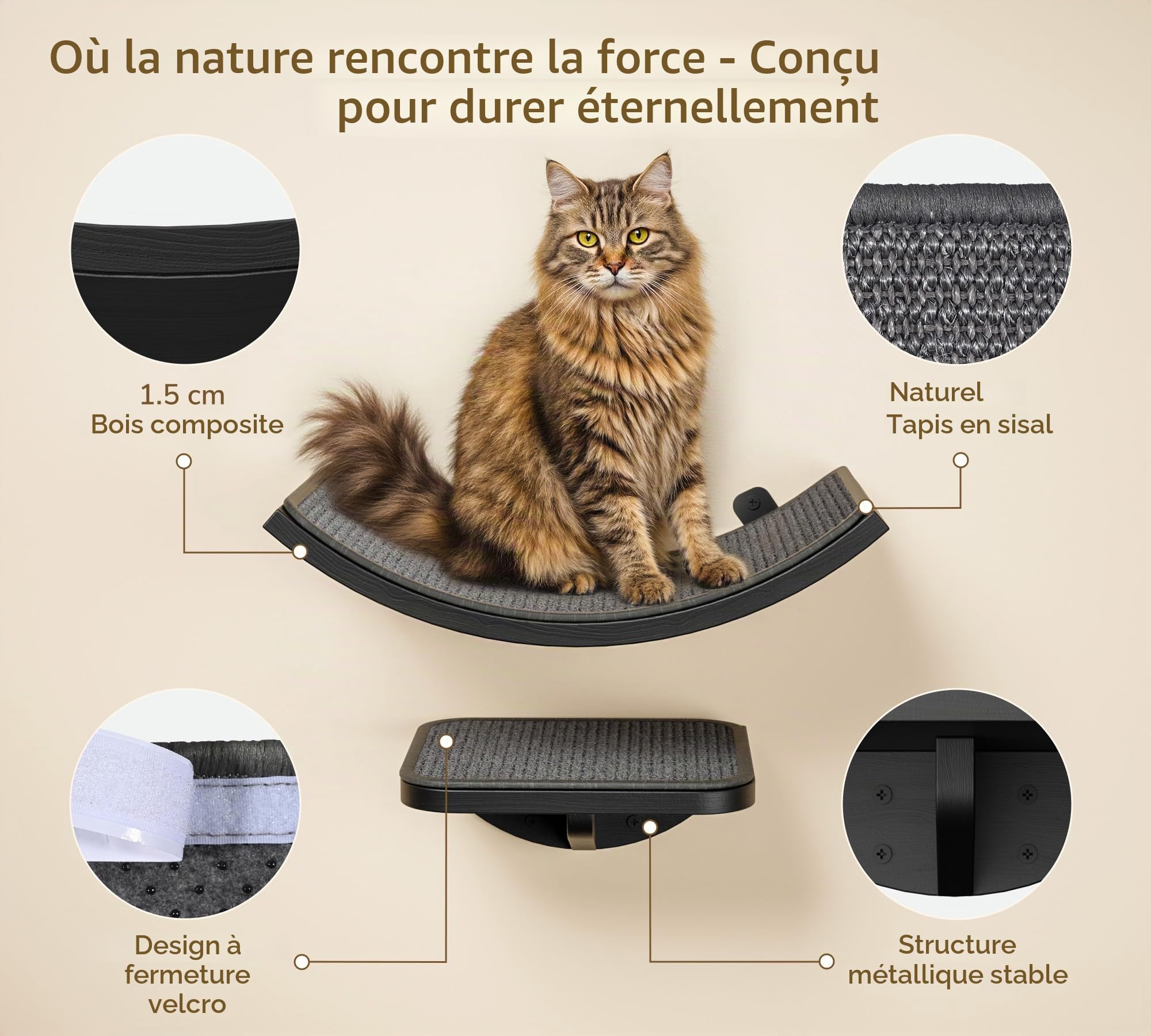 Ensemble de cadre d'escalade pour chat avec tapis à griffer, ensemble de meubles muraux pour chat avec 2 marches et plateformes incurvées, étagères en bois pour chat pour dormir et jouer