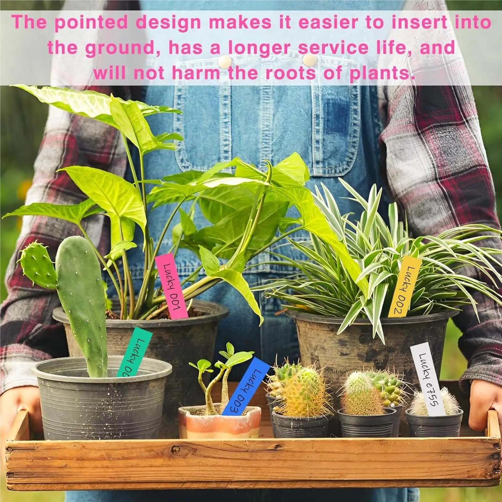 Etiquette Jardin Étiquettes de jardin, signes légumes avec stylo, étiquettes pépinière for fleurs, extérieur, intérieur, serre, cour, Patio, lit surélevé, 500 pièces
